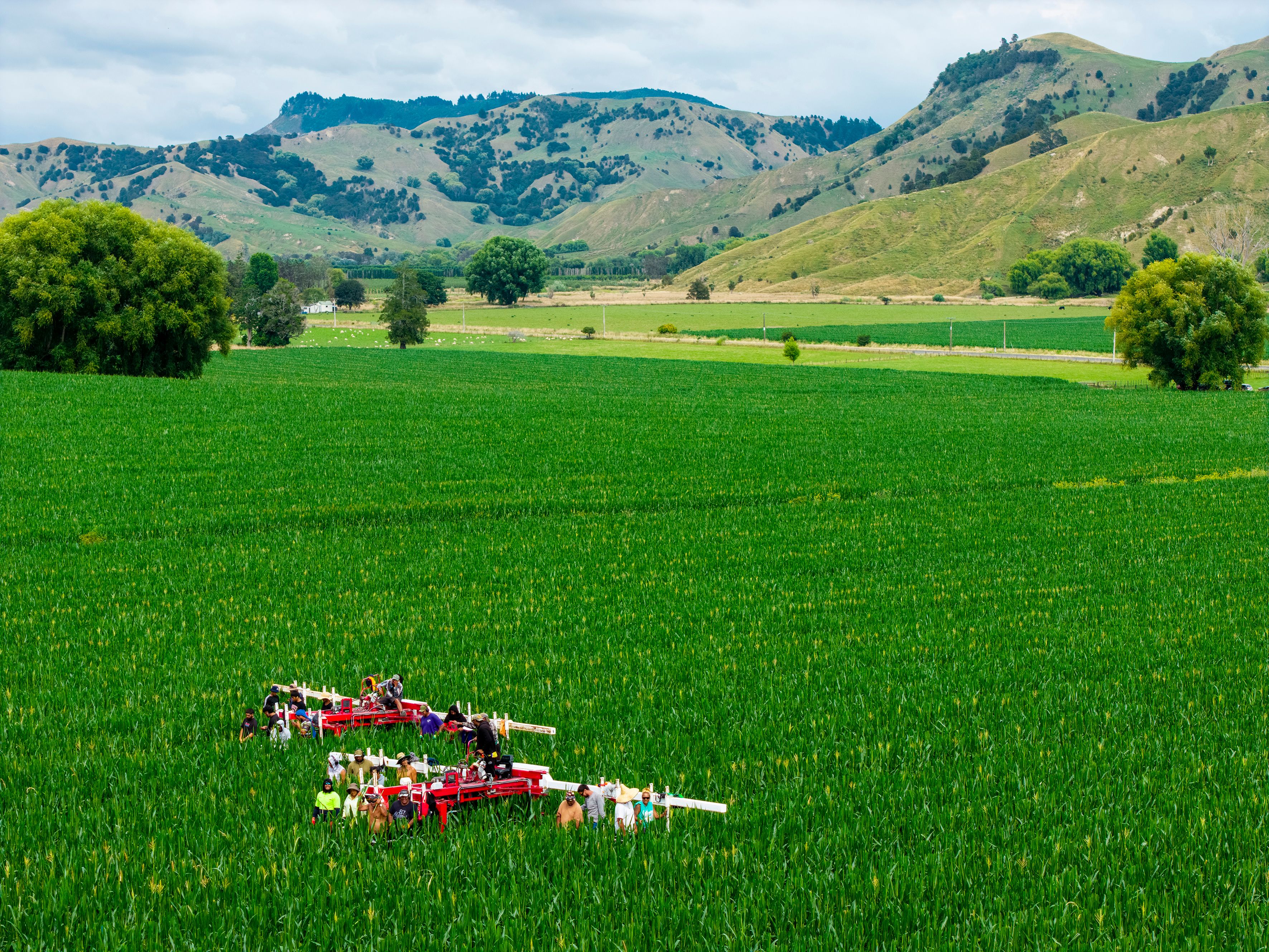580 Waingake Road, Muriwai, Gisborne District