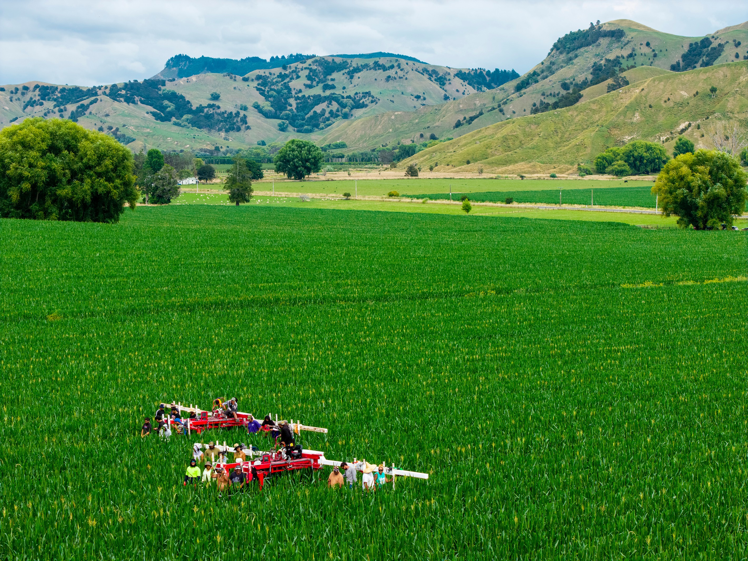 580 Waingake Road, Muriwai, Gisborne District