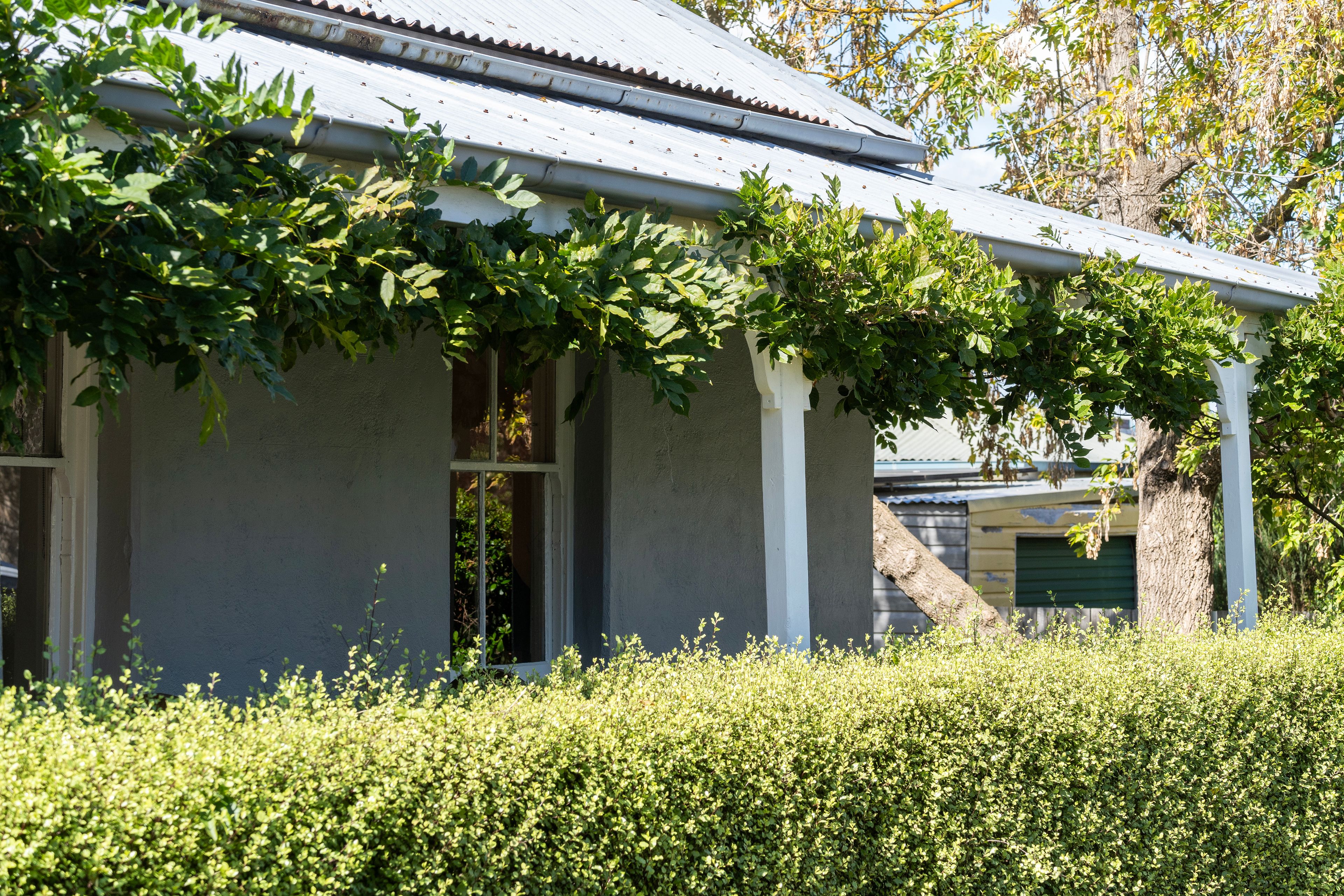 45 Ryrie Street, Braidwood NSW 2622