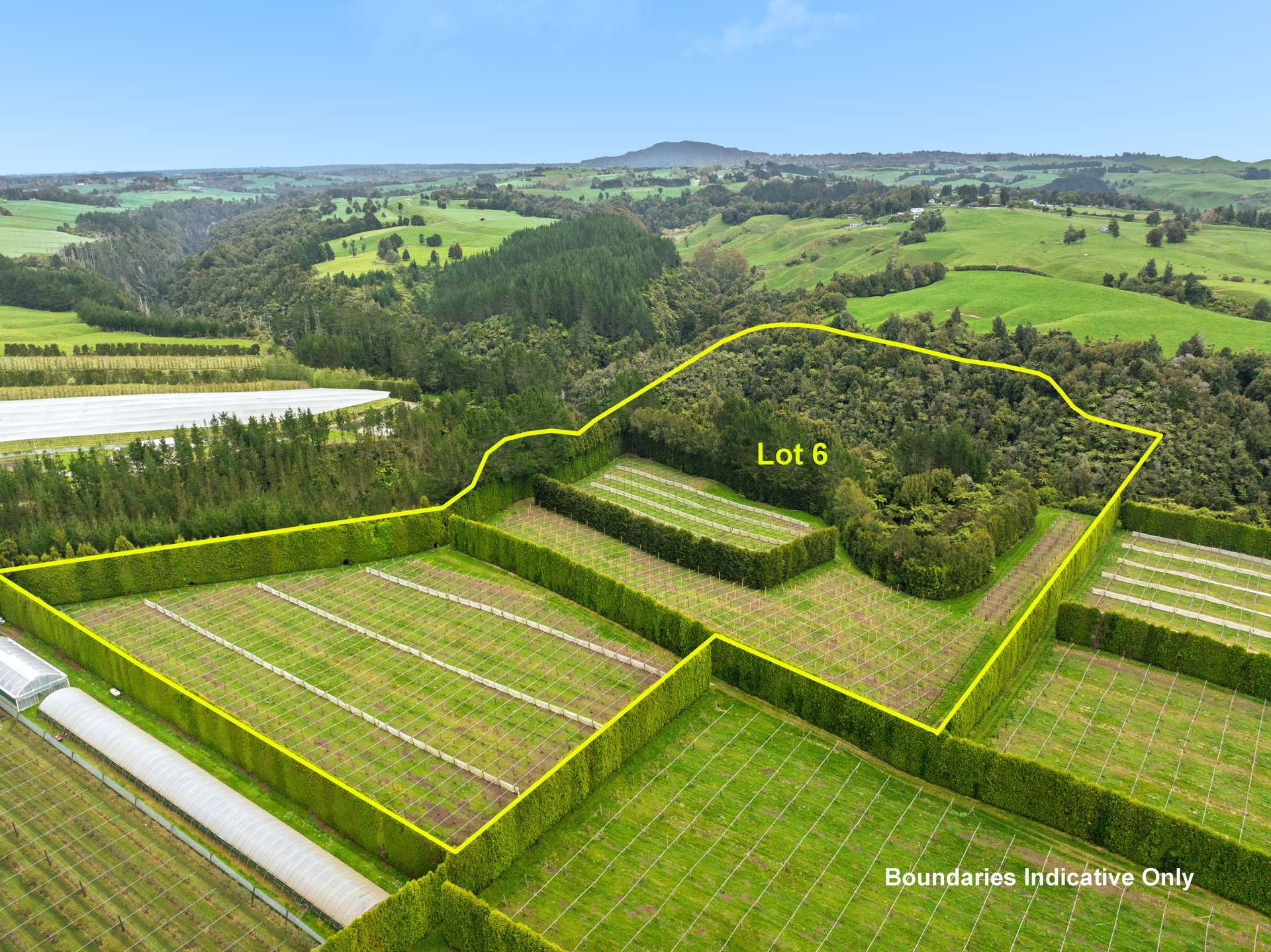 Lot 6/1010 Te Matai Road photo 0