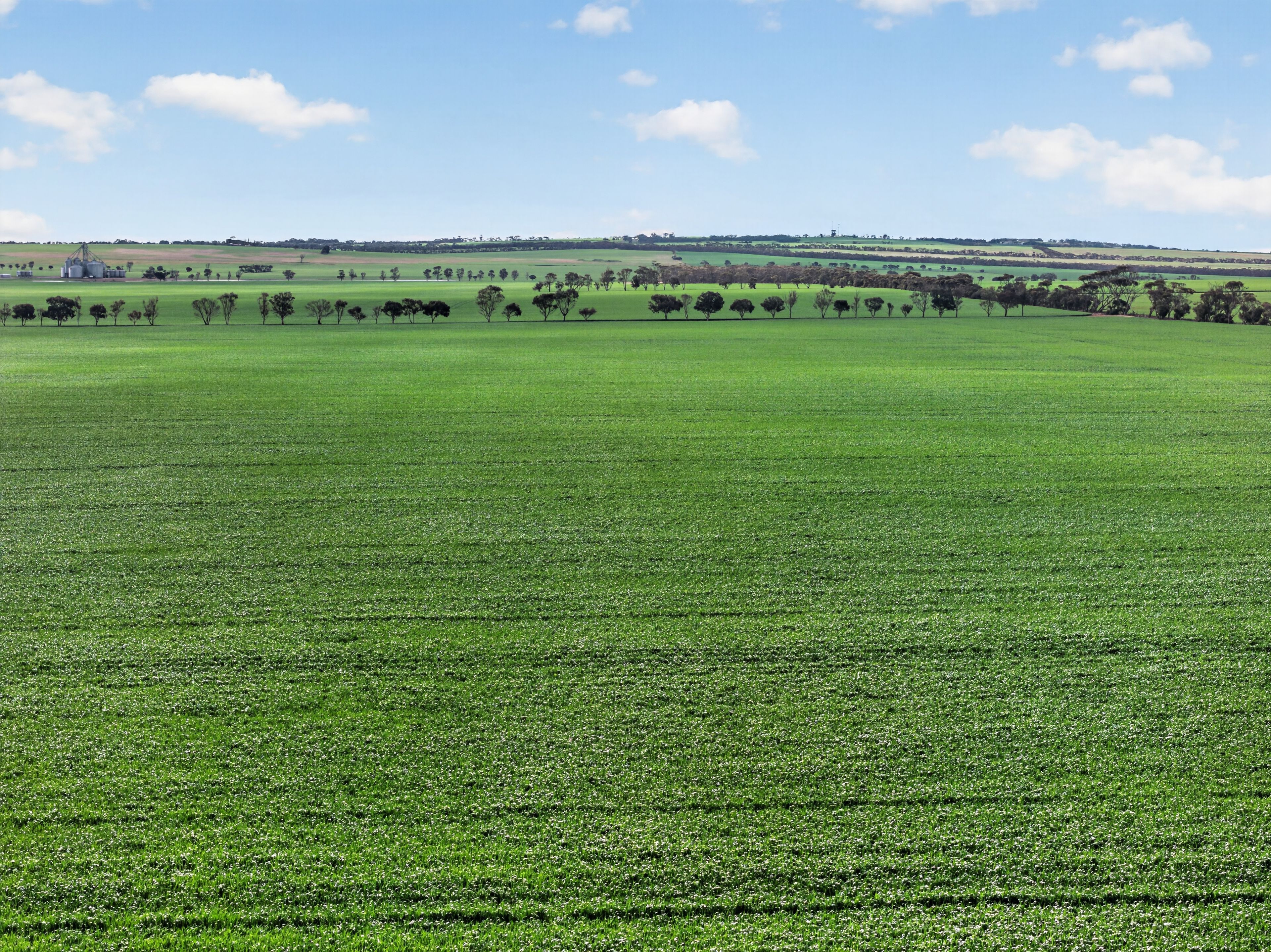 'Watervalley Farm' Broster Road — photo 4 of 22