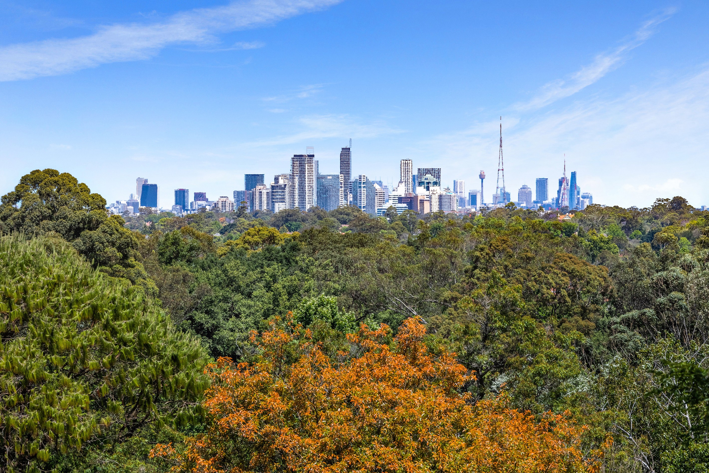 26 Cameron Road, Pymble, NSW 2073