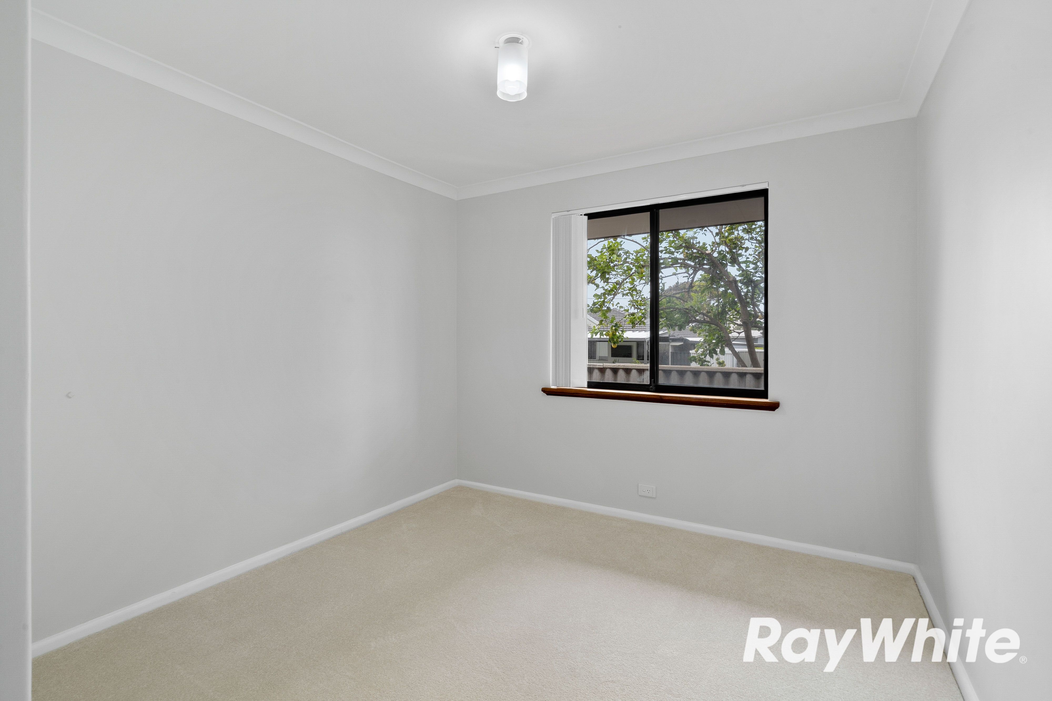 8B Cathryn Street — photo 11 of 21