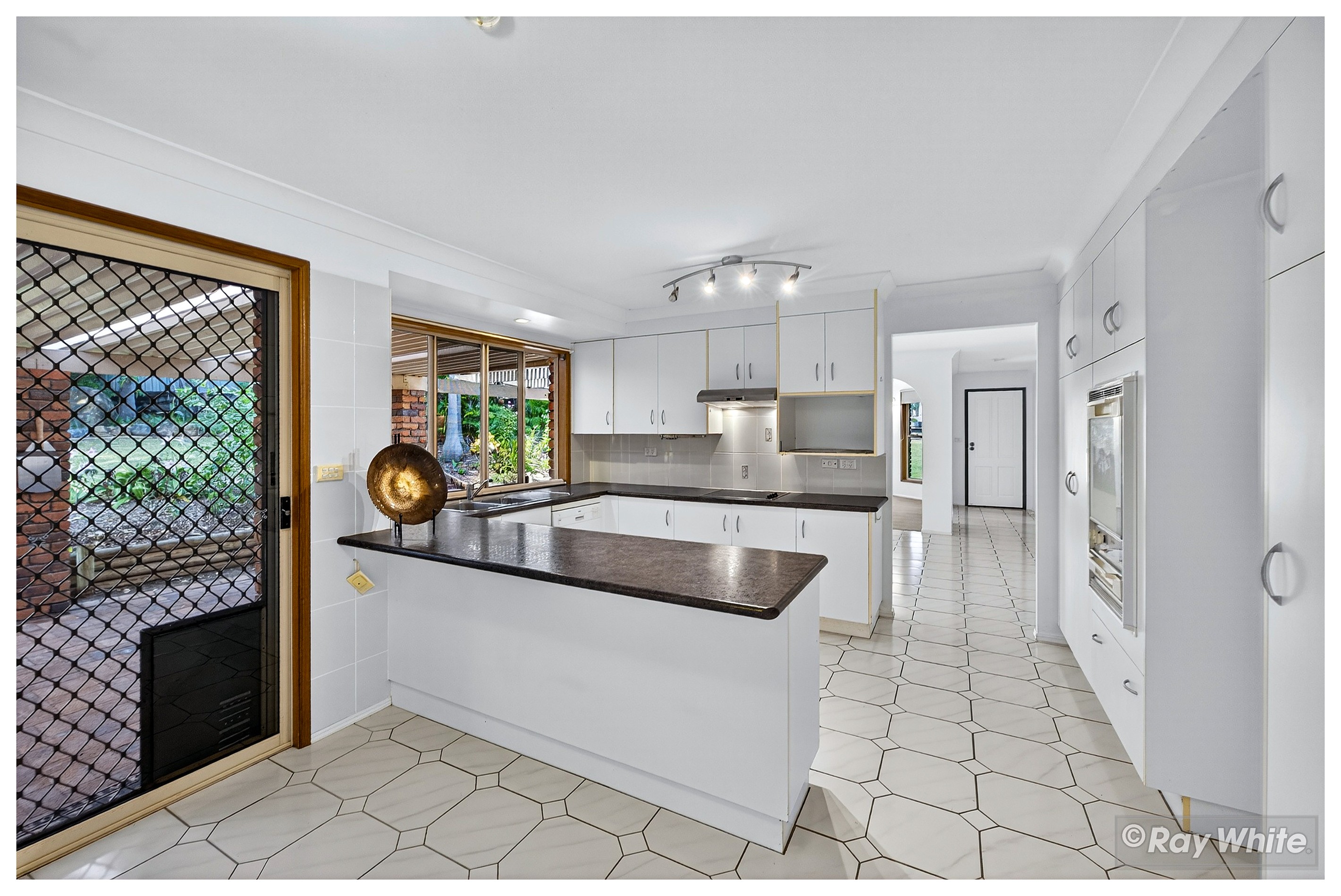 19 Moren Street, Frenchville, QLD 4701