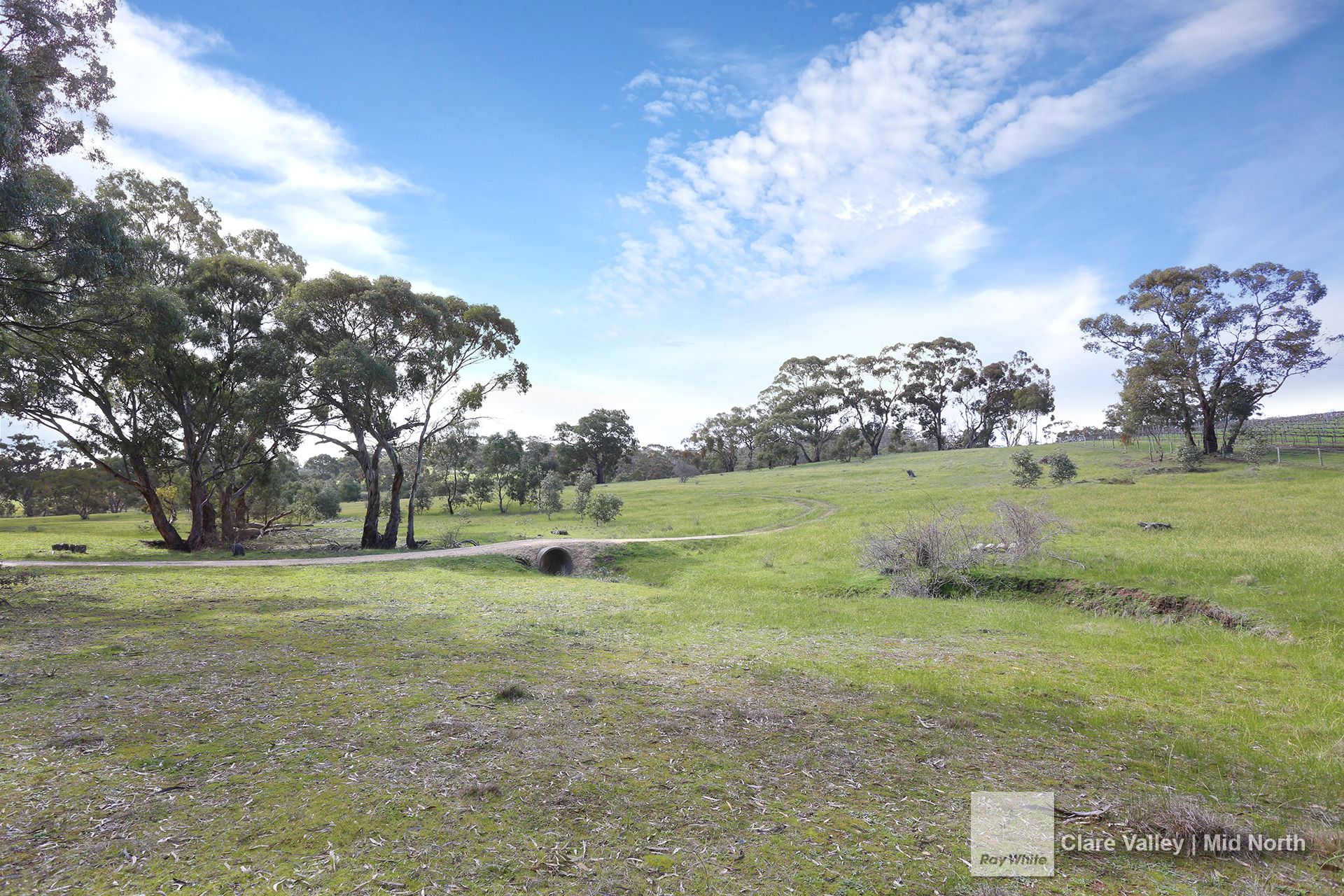 Lot 22 Spring Gully Road, Clare, SA 5453