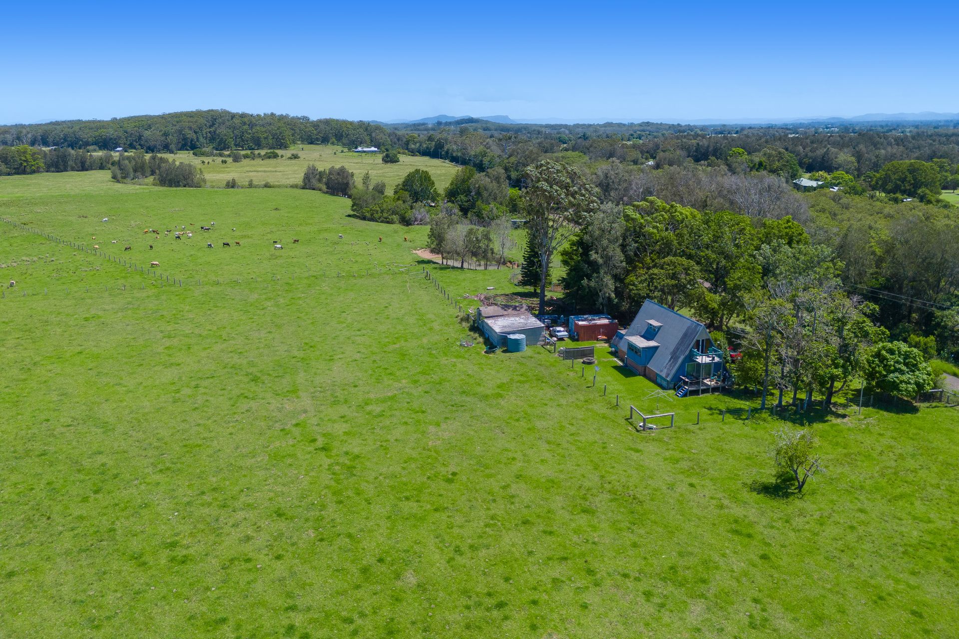385 Fernbank Creek Road, Fernbank Creek, NSW 2444