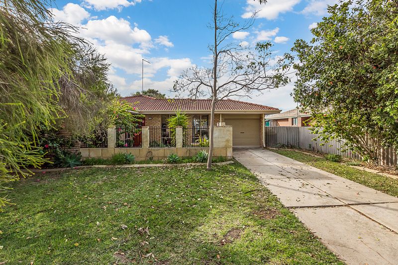 3 Damon Street, Singleton, WA 6175