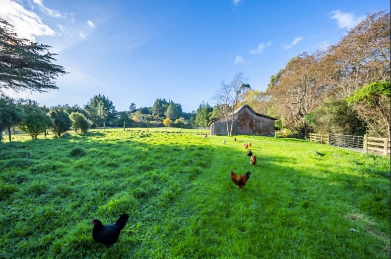 1031A Blue Mountains Road, Whitemans Valley, Upper Hutt City
