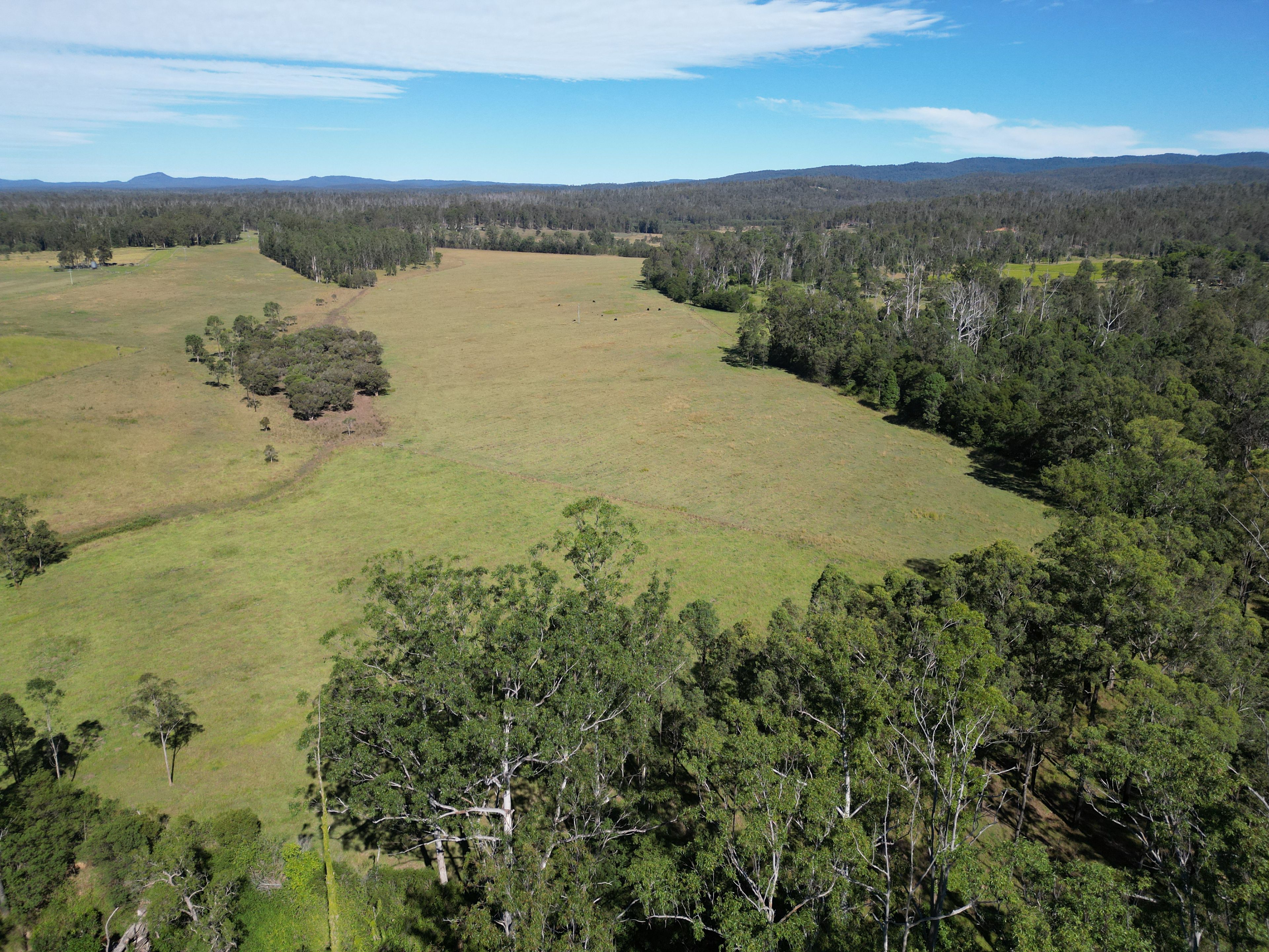 Wyan, NSW 2469