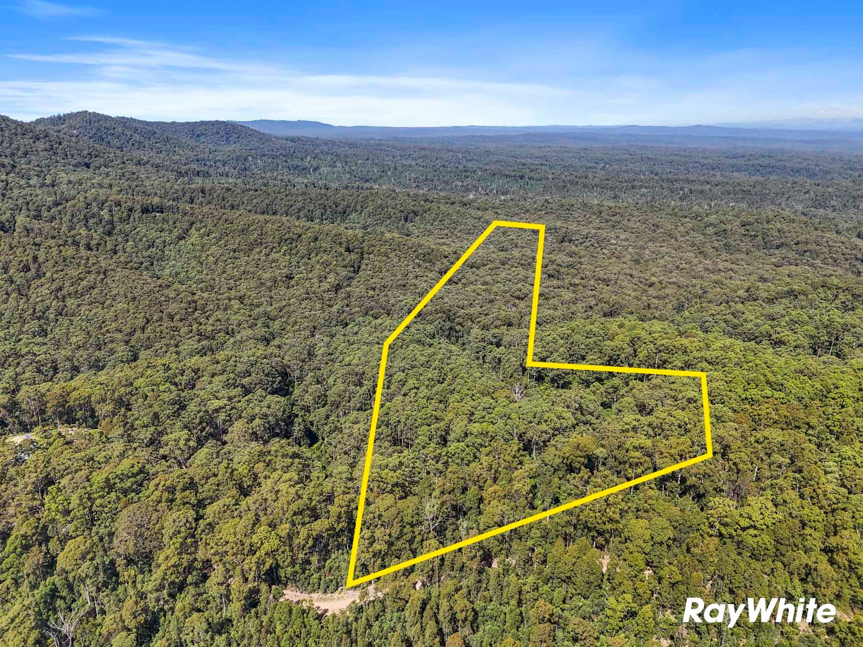 291D Brooman Road, Morton, NSW 2538
