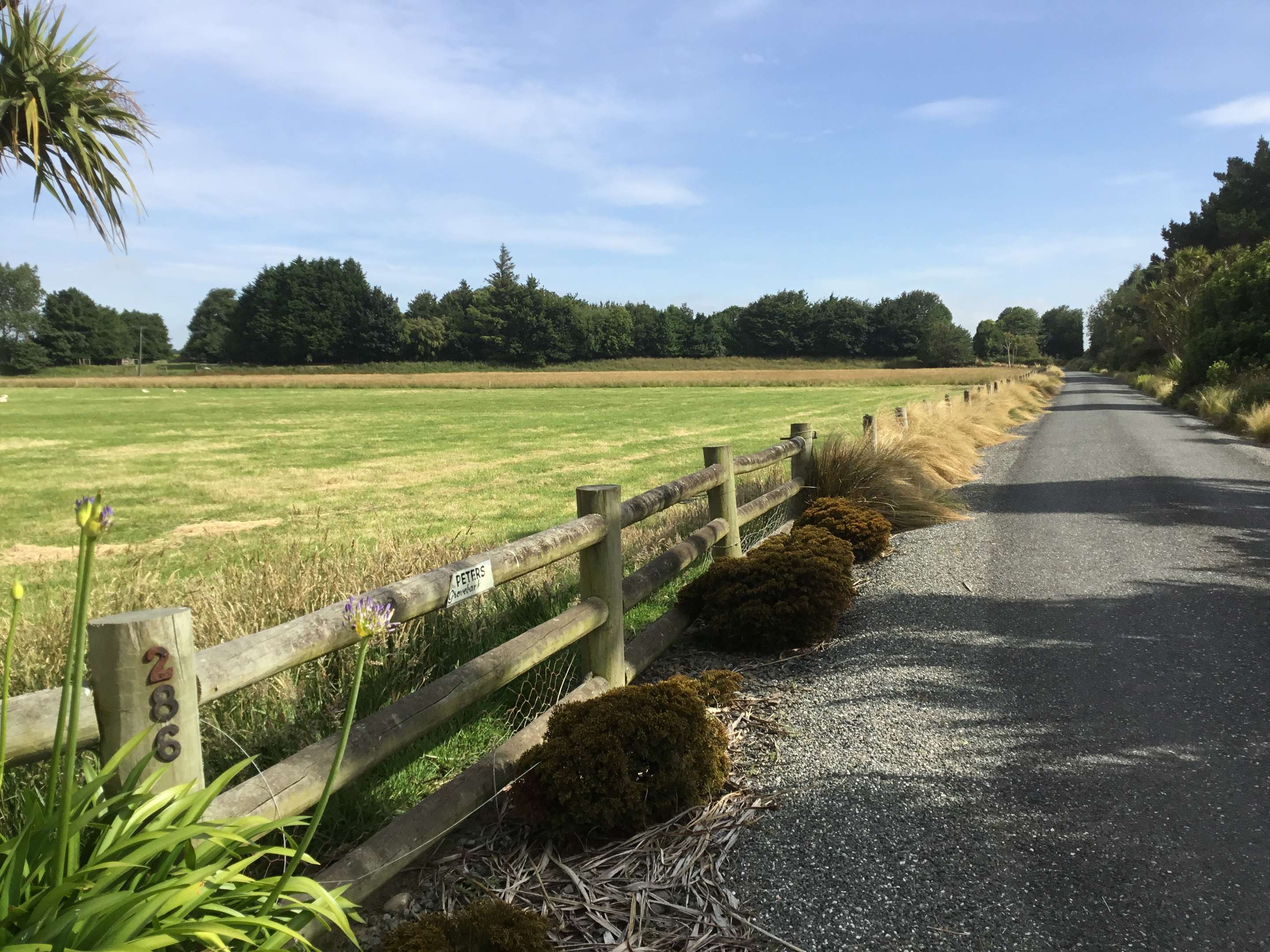 286 Bay Road, West Plains, Invercargill Real Estate Ray White New