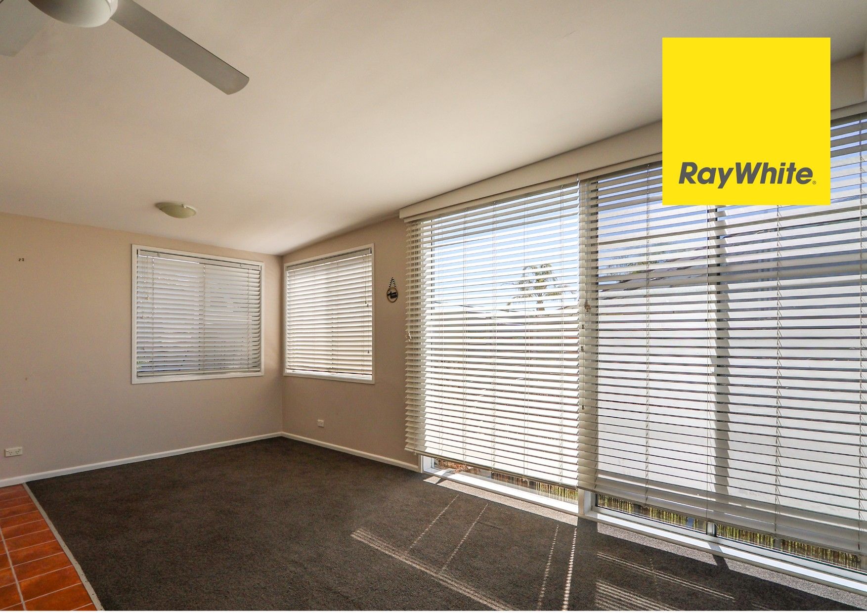 22 Lewin Street — photo 3 of 15