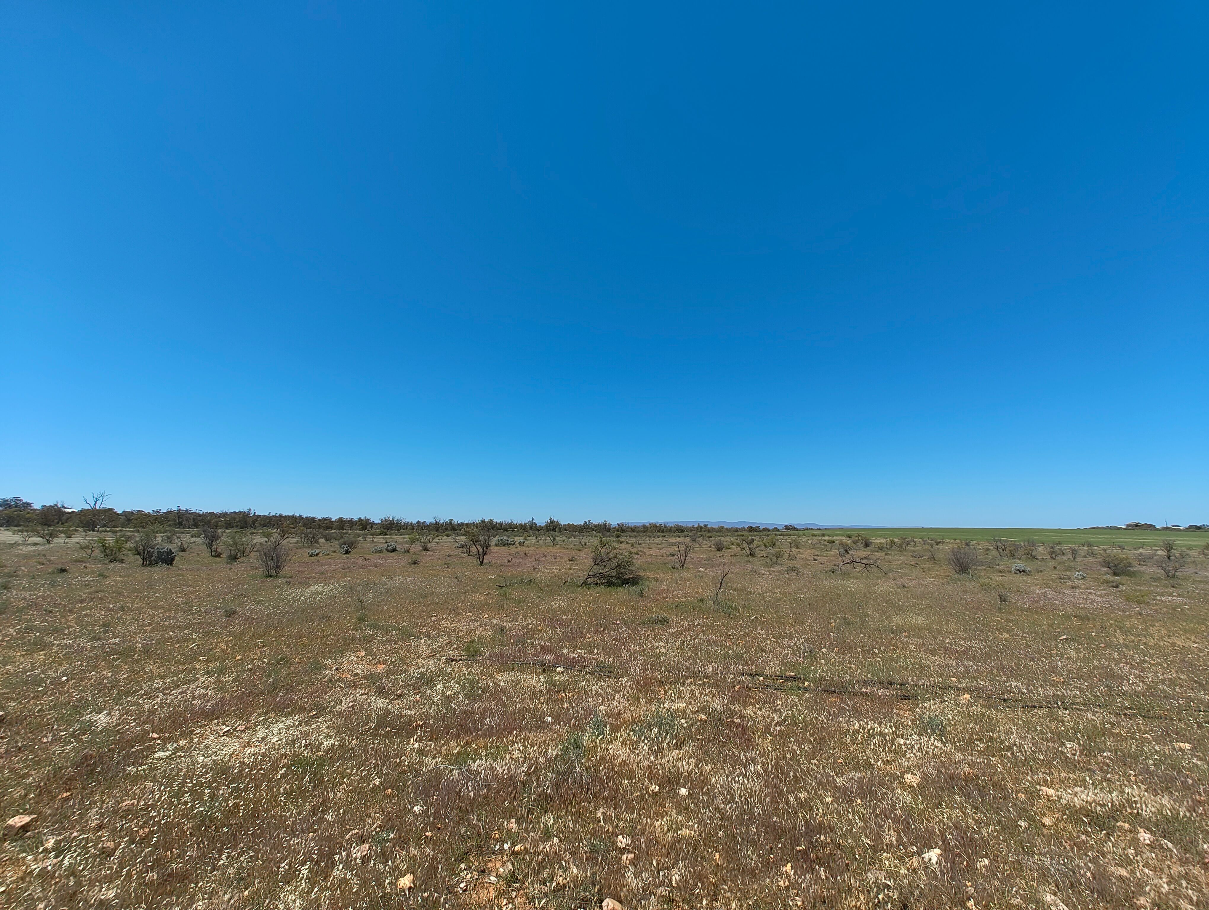 Lot 347 Schmidt Road, Quorn, SA 5433