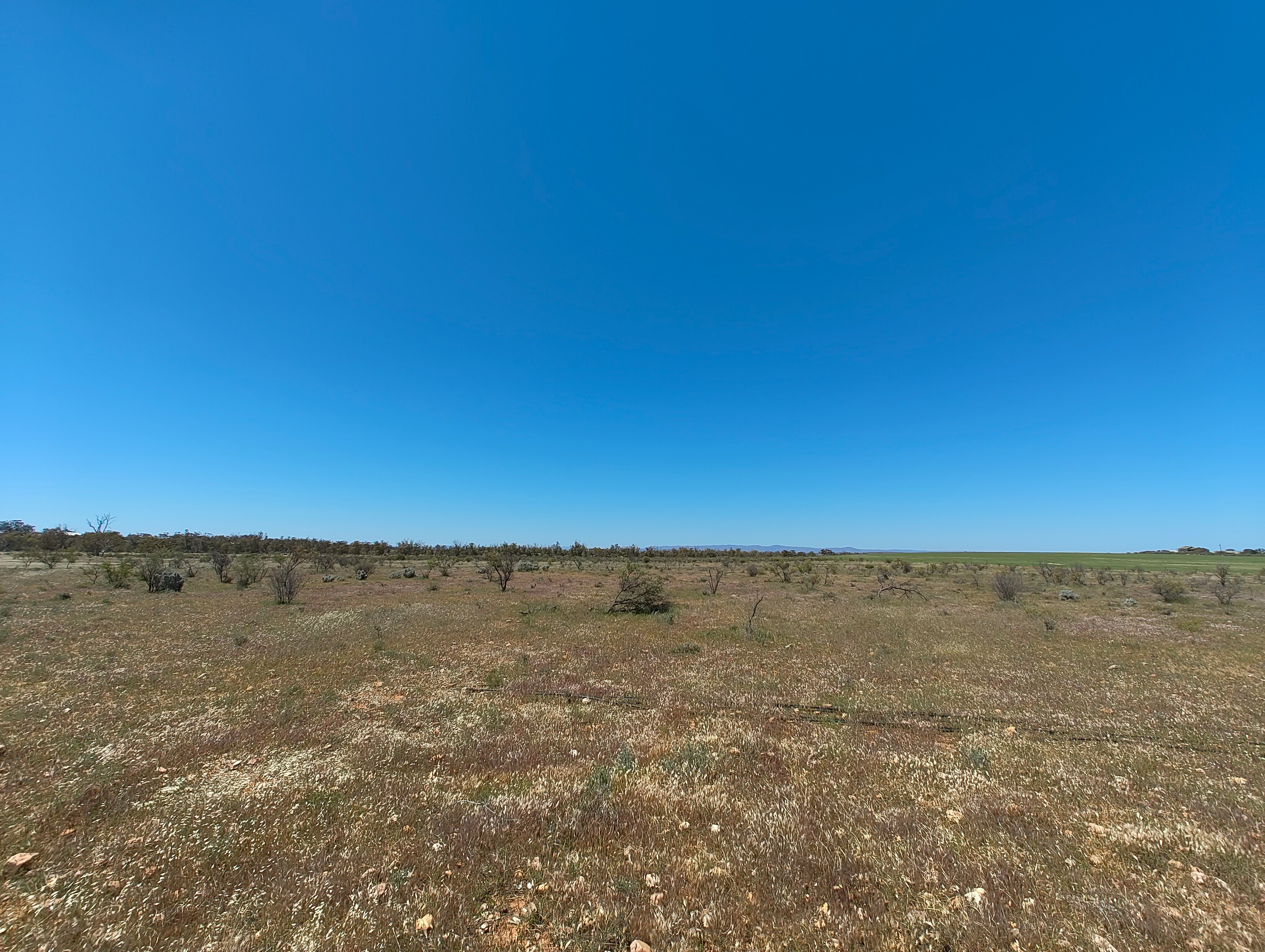 Lot 347 Schmidt Road, Quorn, SA 5433