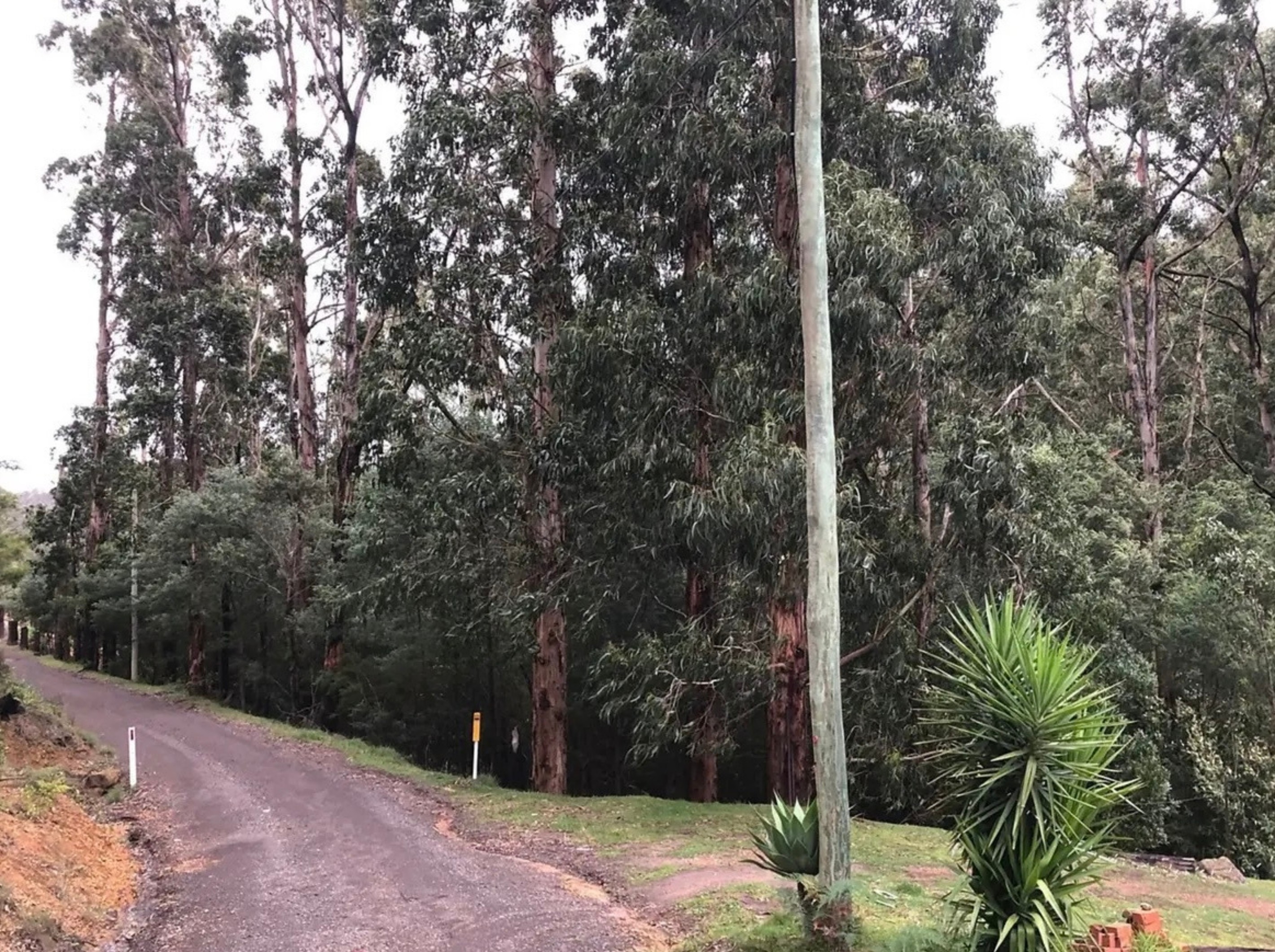 355 Ninks Road, St Andrews, VIC 3761