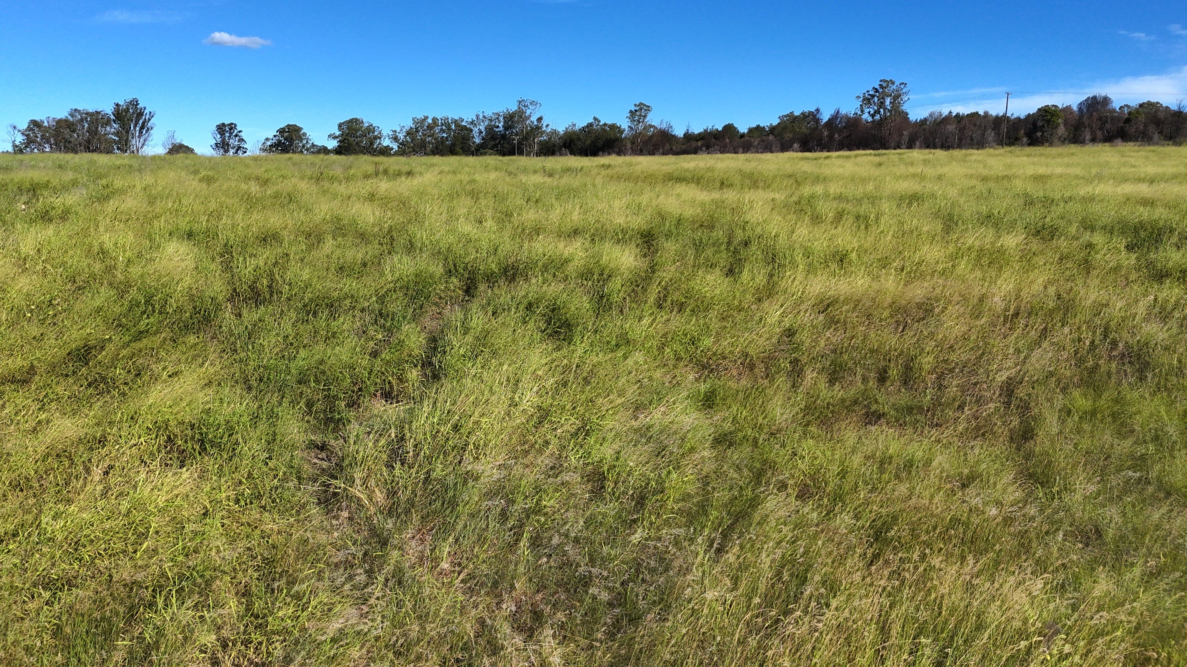 Lot 112 Wondai Proston Road, Wondai, QLD 4606