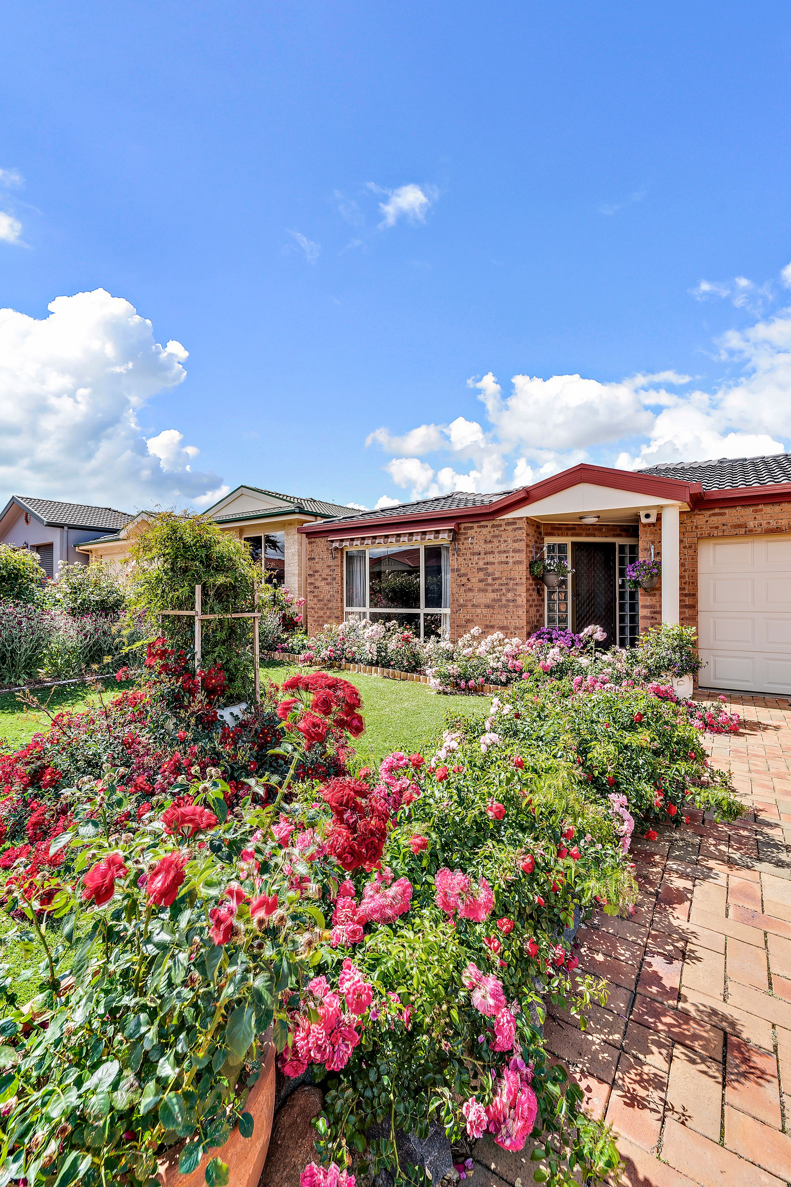 17 Ibis Street, Nicholls, ACT 2913