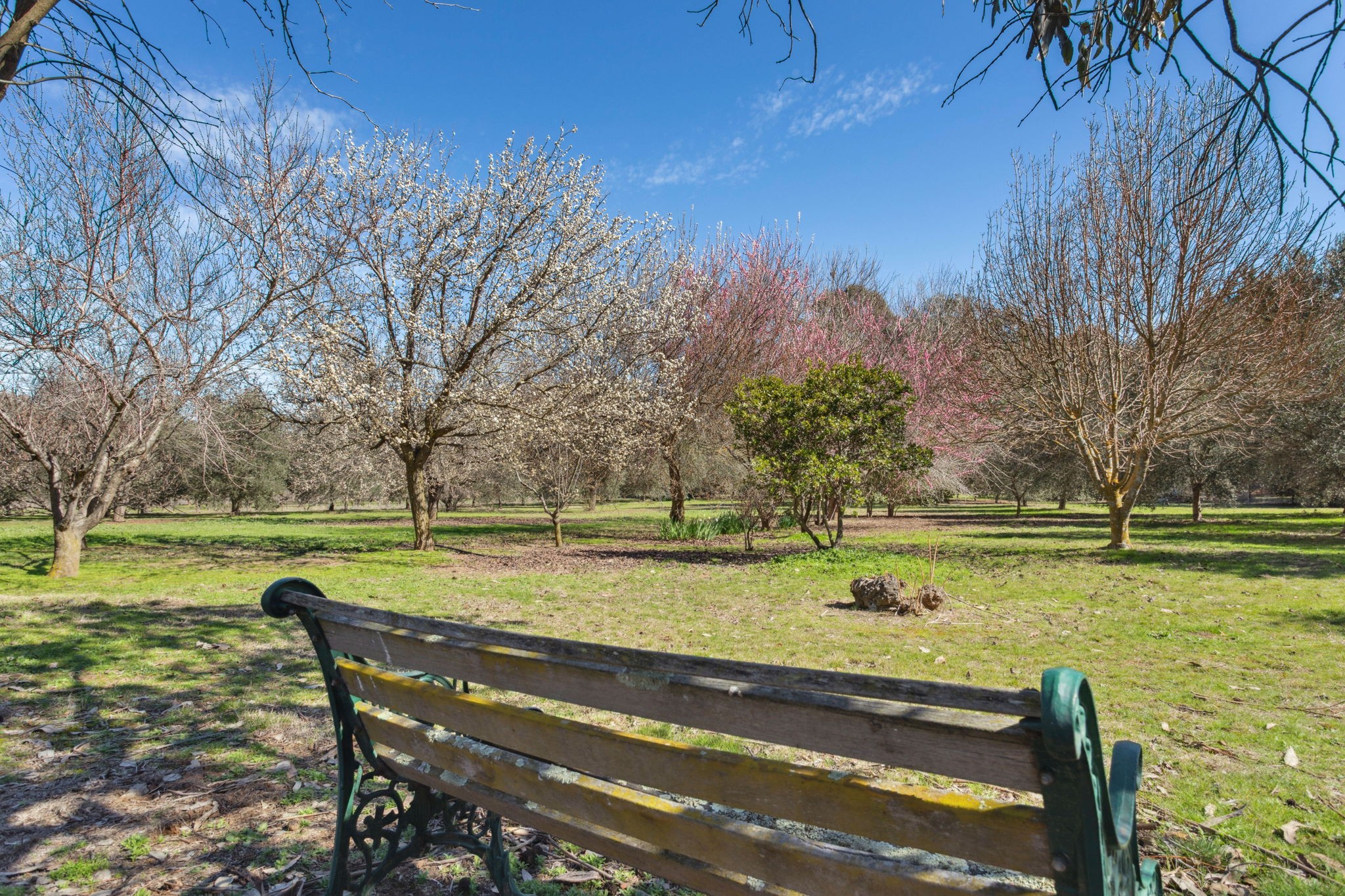 105 Wargeila Road, Yass, NSW 2582