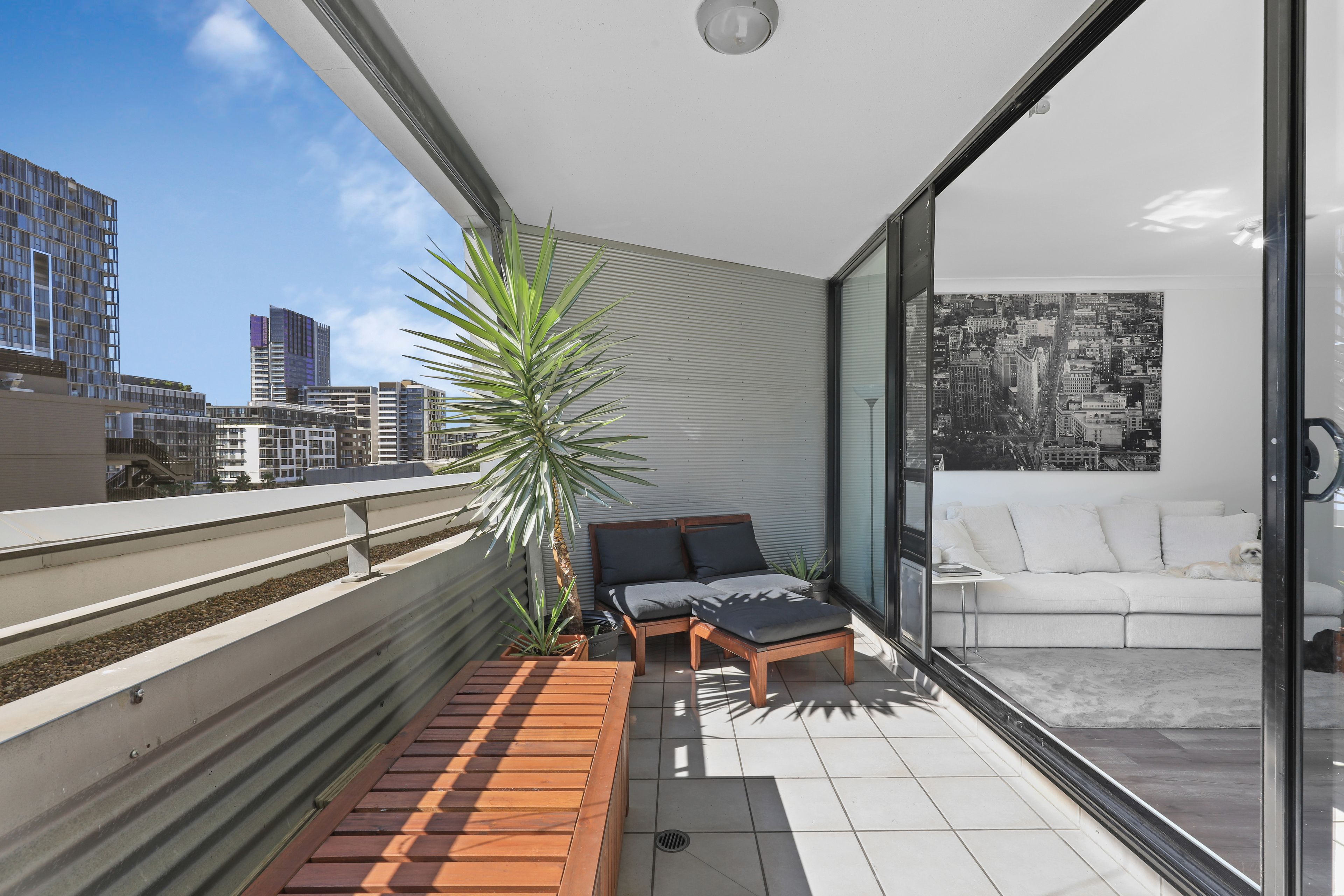 212/11a Lachlan Street, Waterloo, NSW 2017
