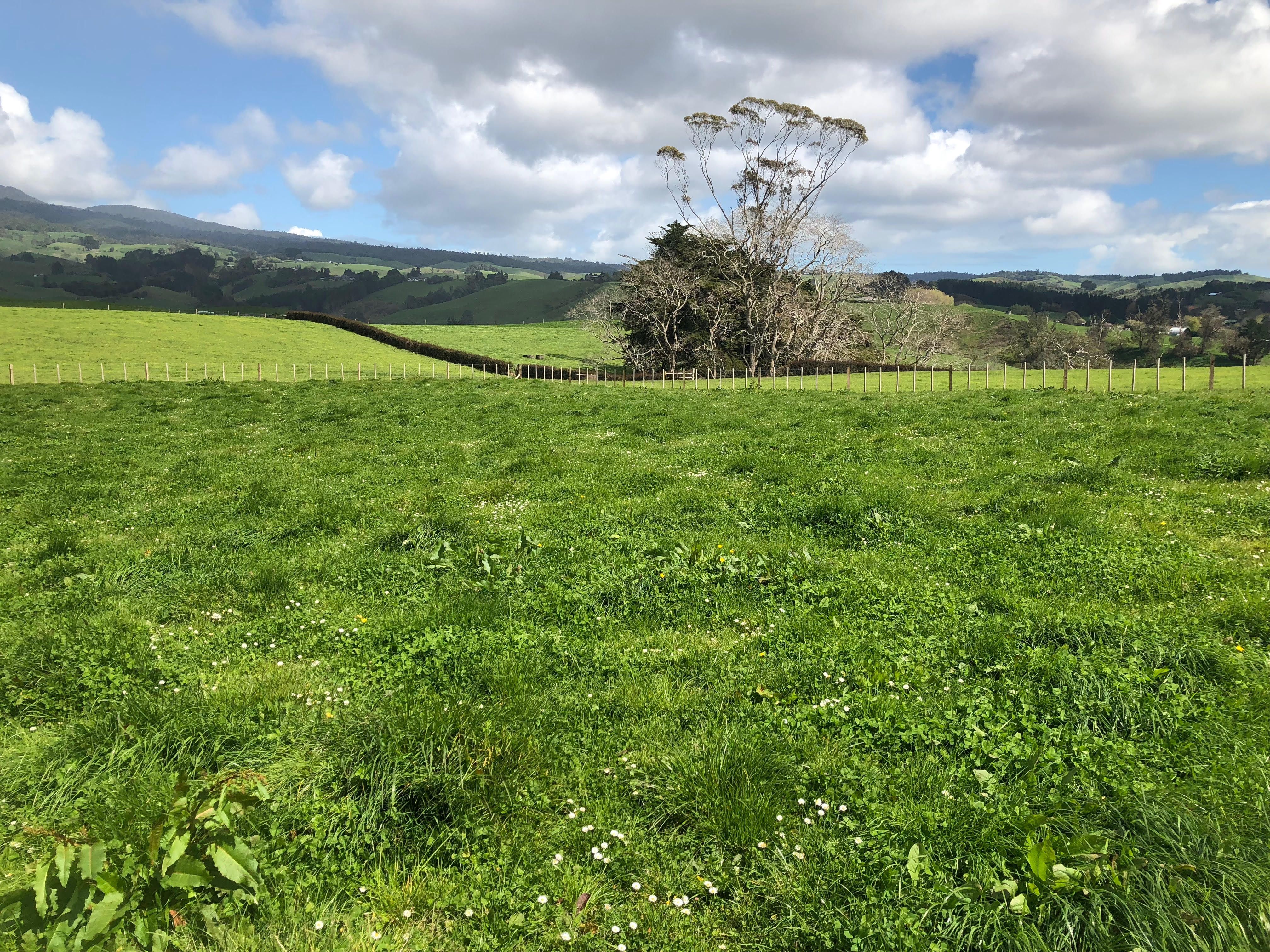0 Strong Road, Te Pahu, Waipa District