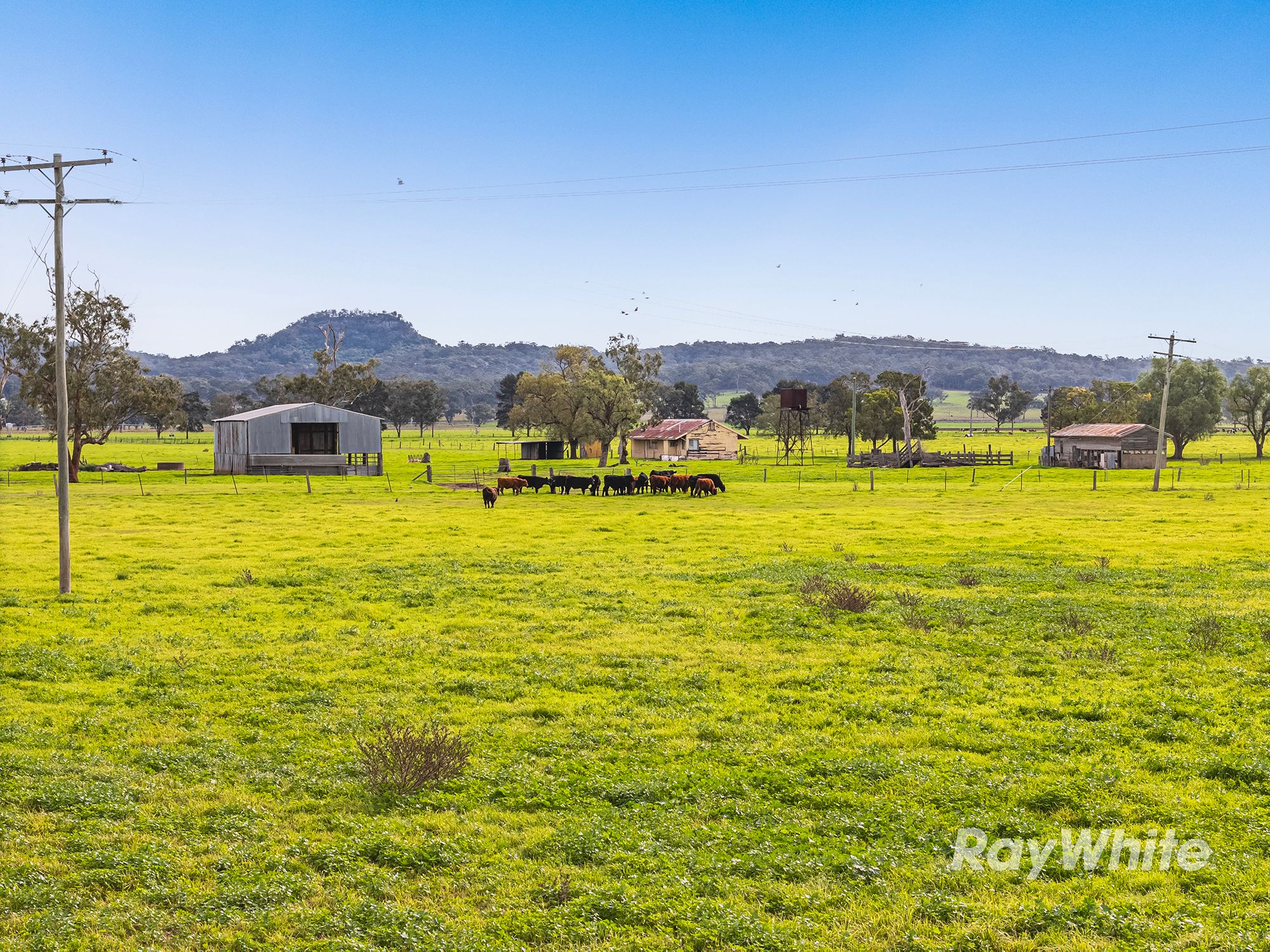 "Pindimar" 76 Annandale Row — photo 8 of 30