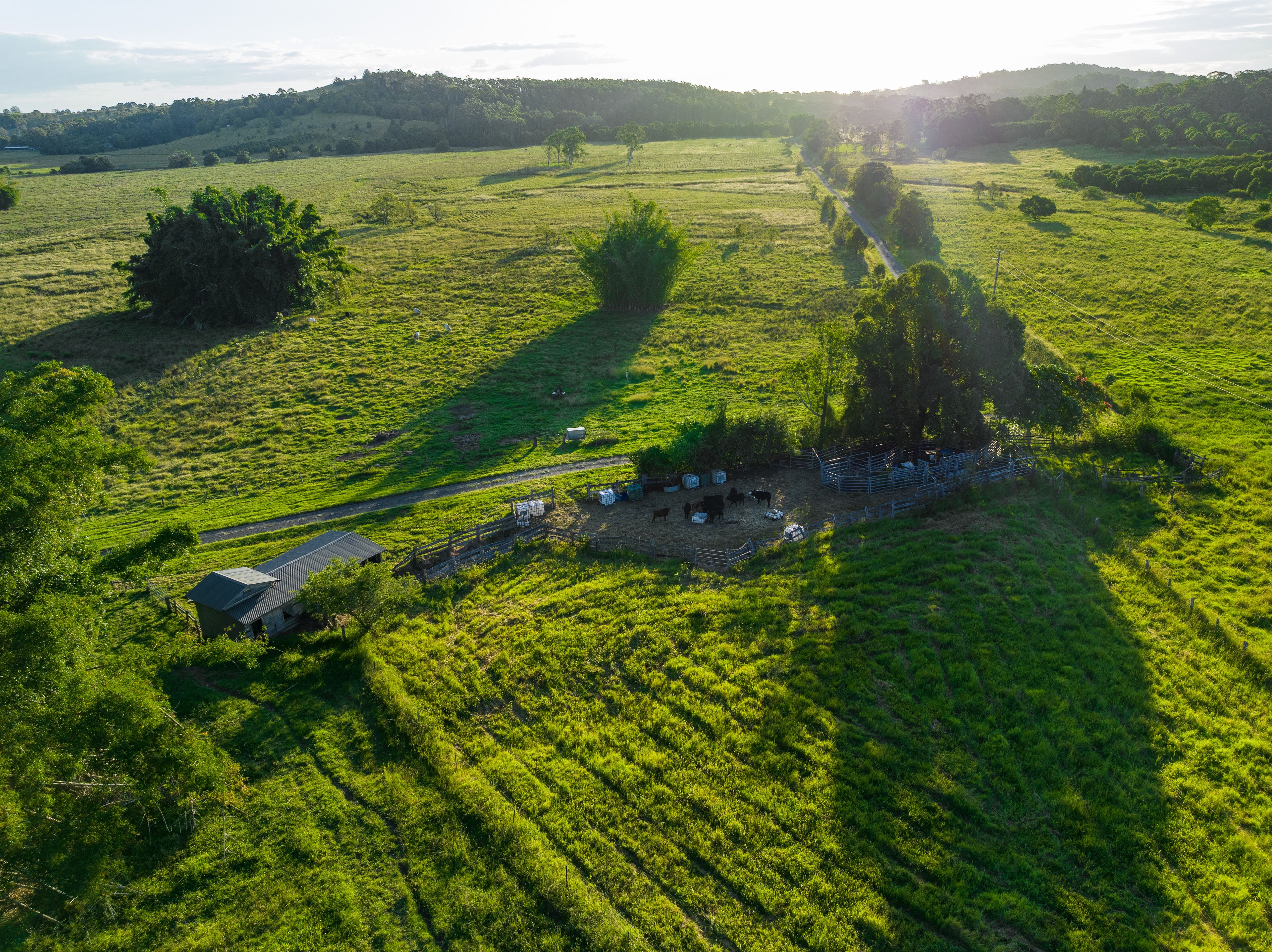 2 Webber Road, Tregeagle, NSW 2480