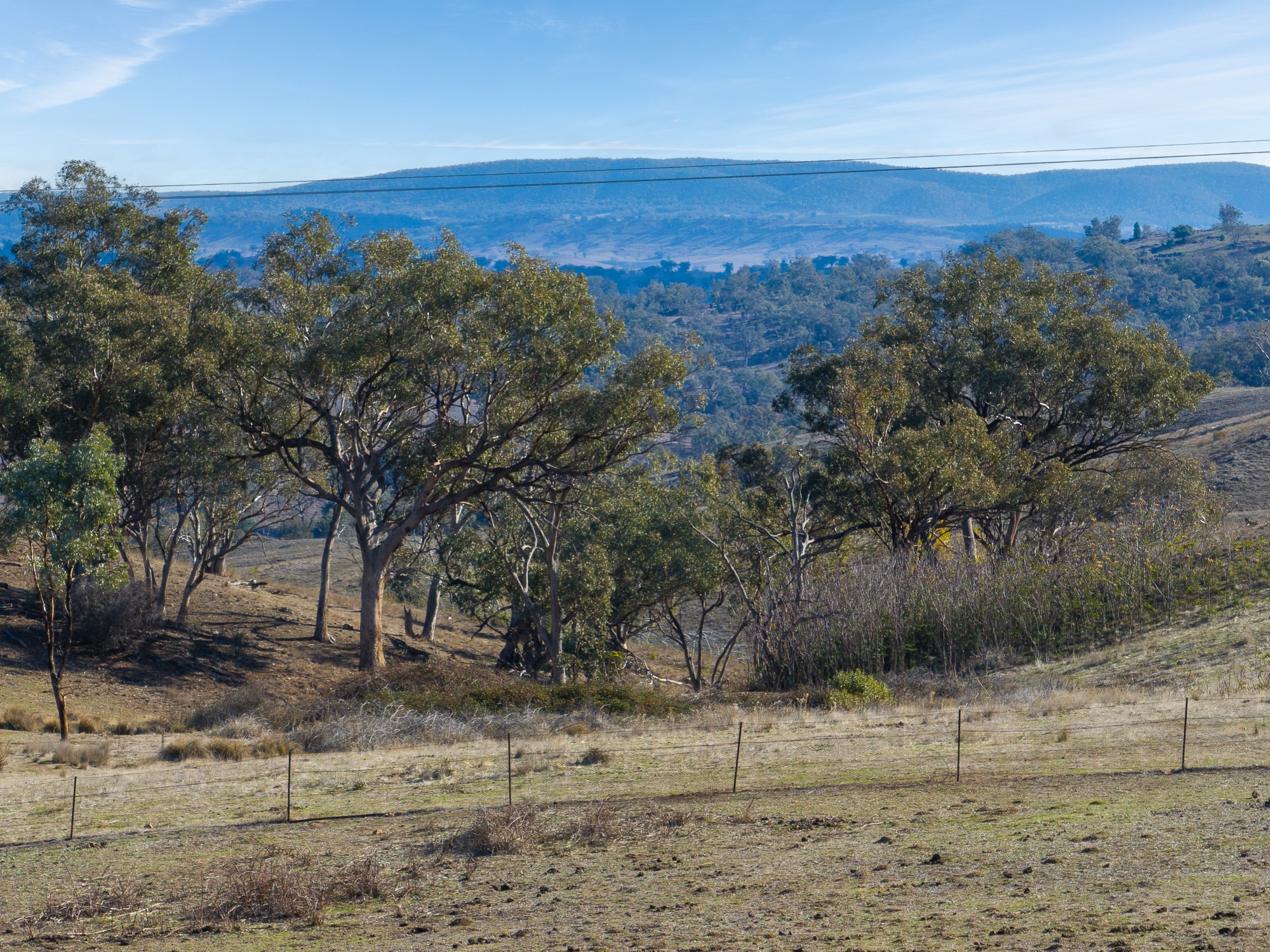 112 Tarrawingee Road, Mumbil, NSW 2820