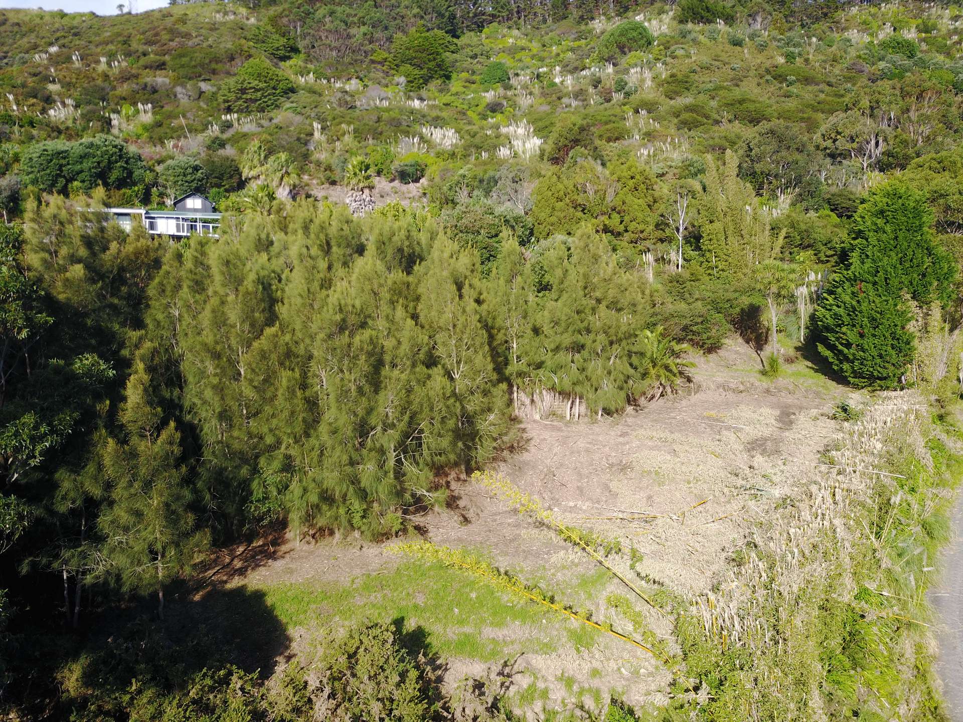 37 Tasman Heights photo 2