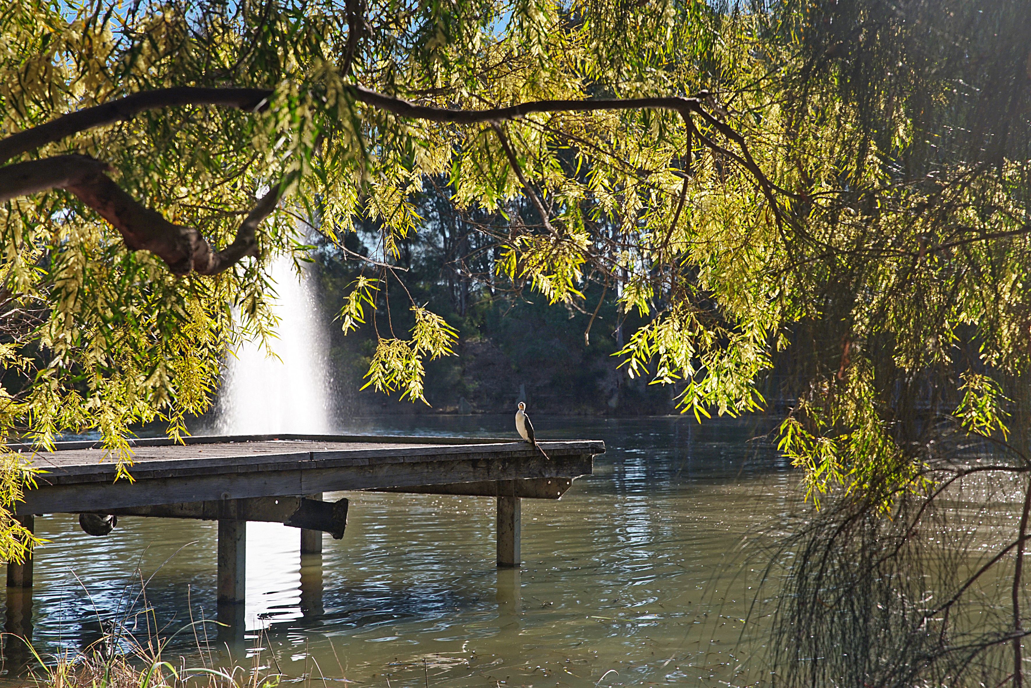 8 Spinebill Place, Cranebrook, NSW