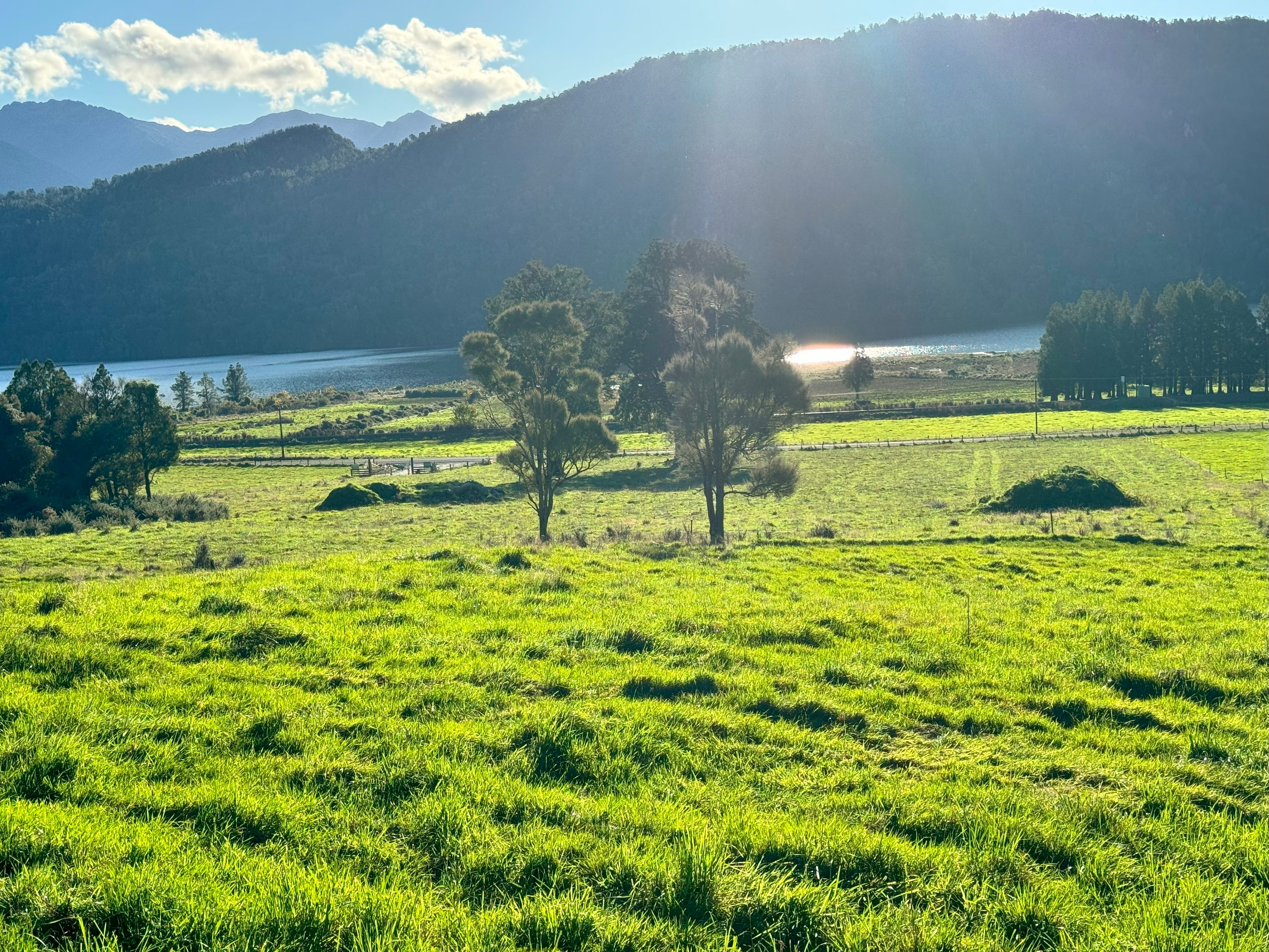 2237 Lake Brunner Road, Inchbonnie, Grey District 7875 Lifestyle Section for Sale Ray White