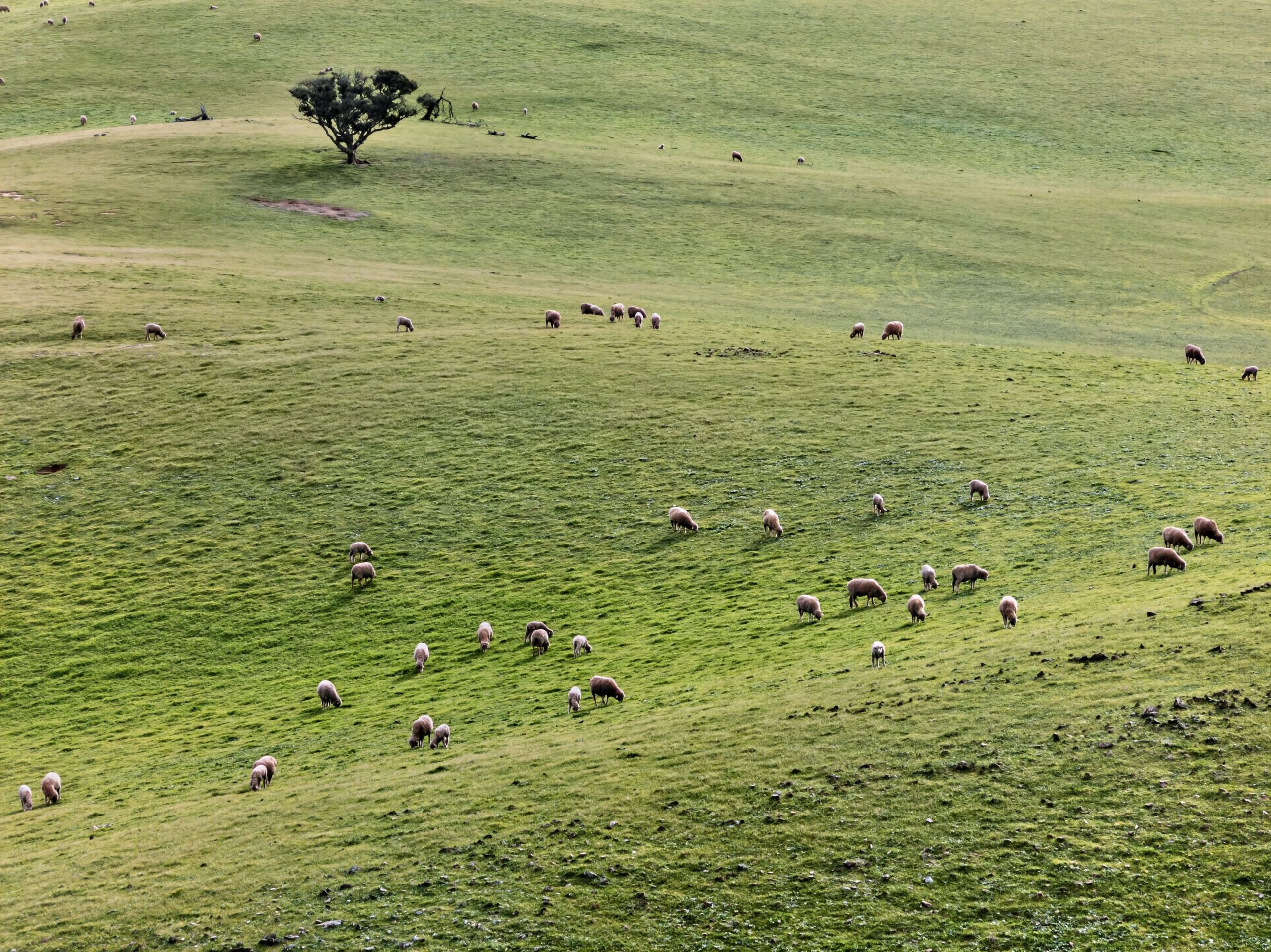 'Glen's' Cattle Station Road — photo 9 of 15