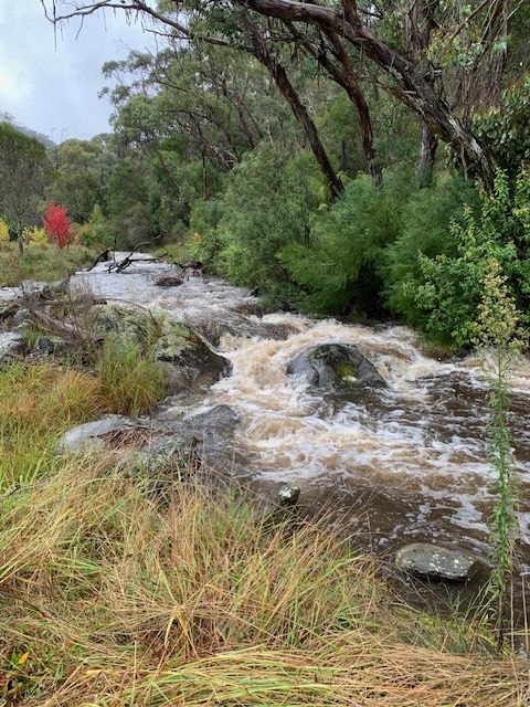 Part 1420 Goobarragandra Road — photo 6 of 11