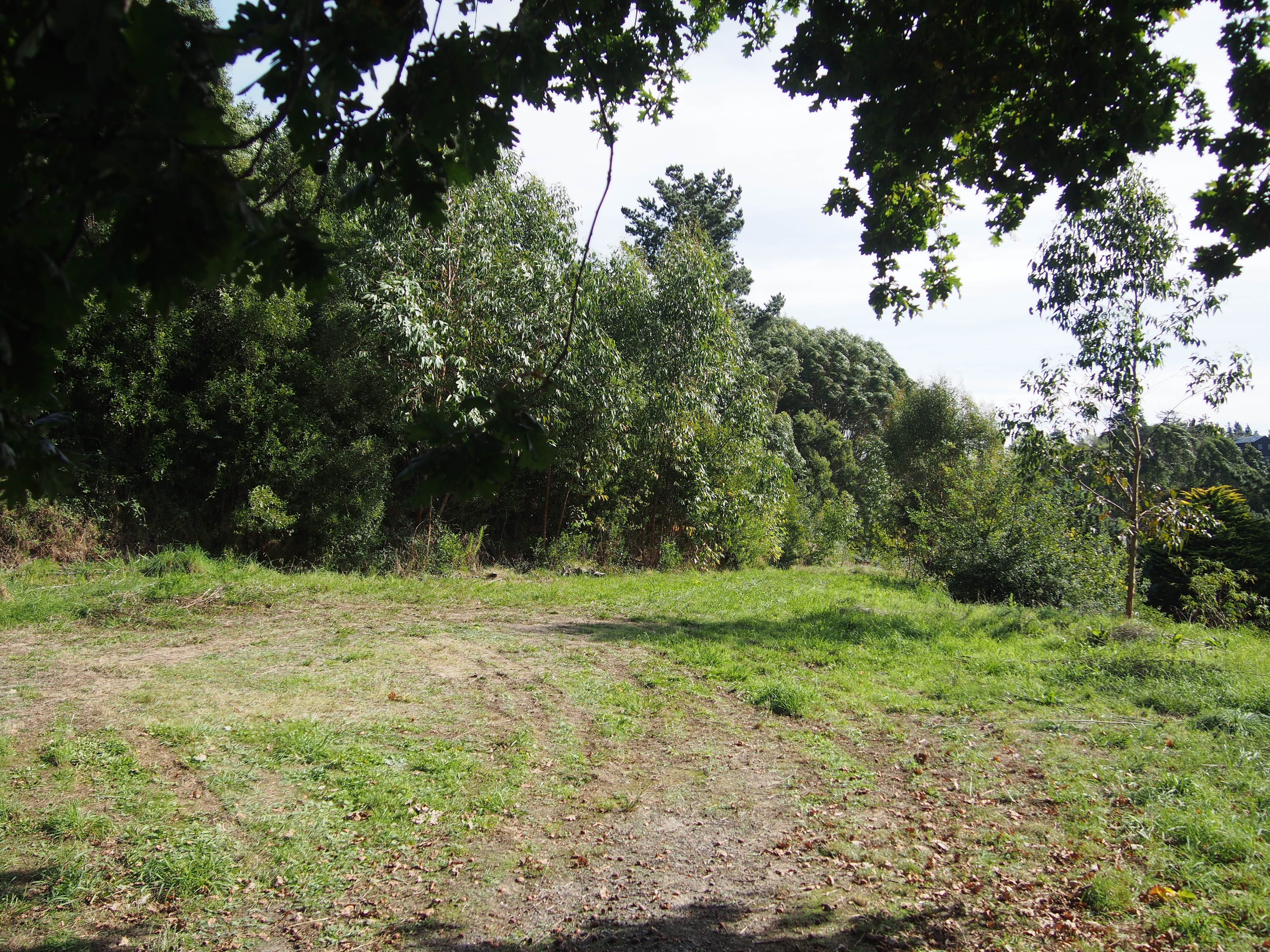 234A Durham Drive, Havelock North, Hastings District