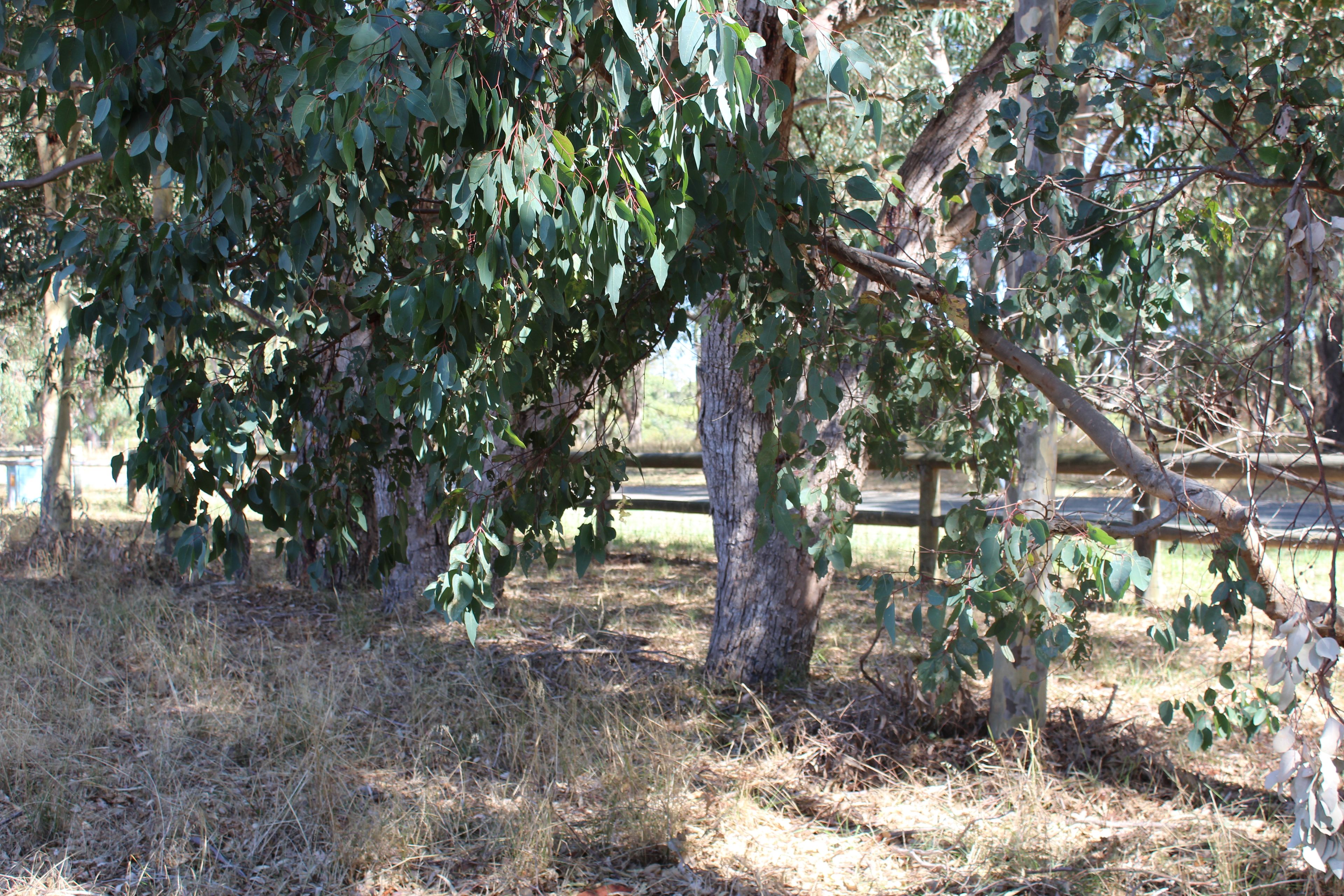 Lot 2 Winery Drive, Karnup, WA 6176