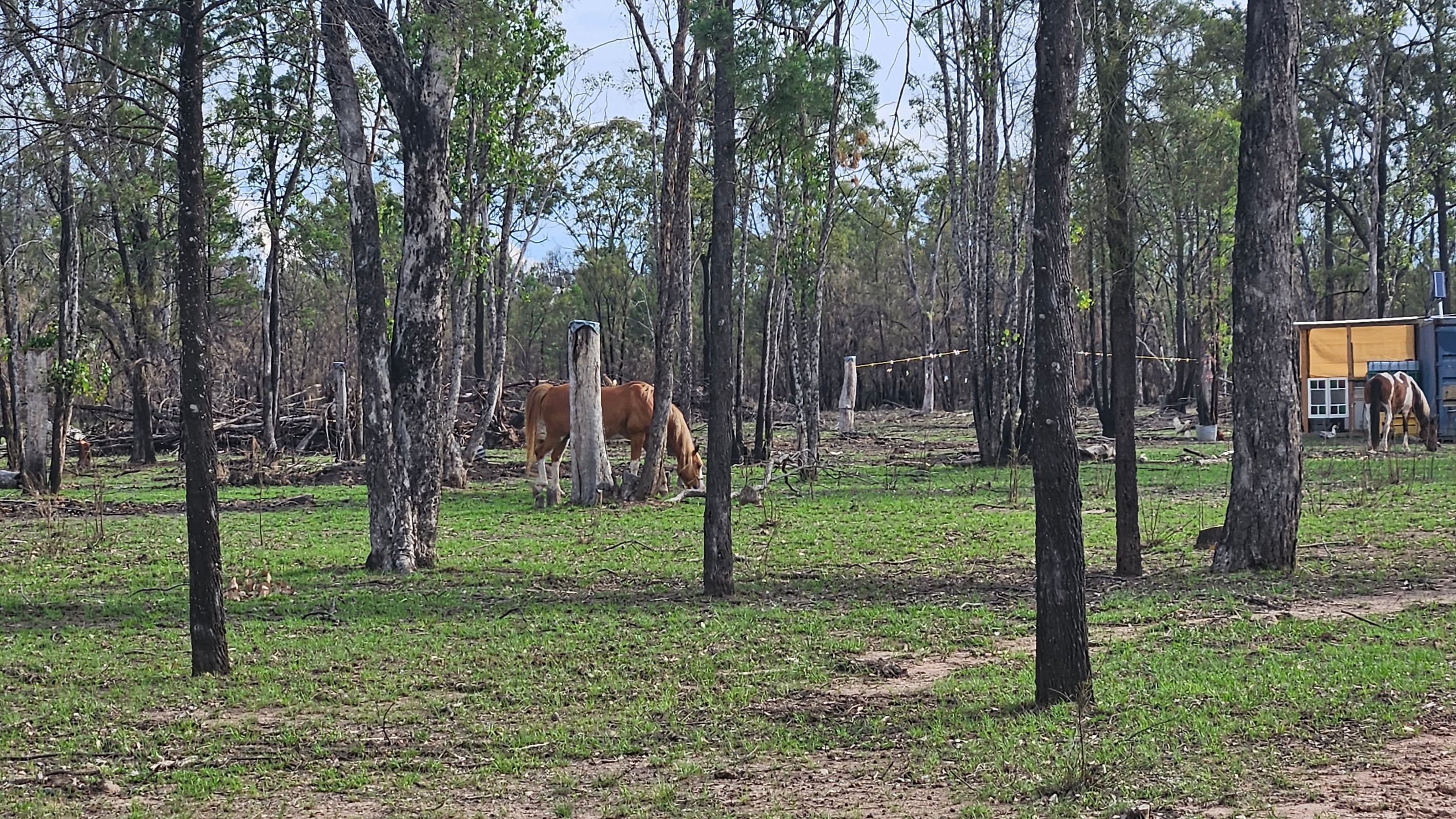 87 Emu Parade, Tara, QLD 4421