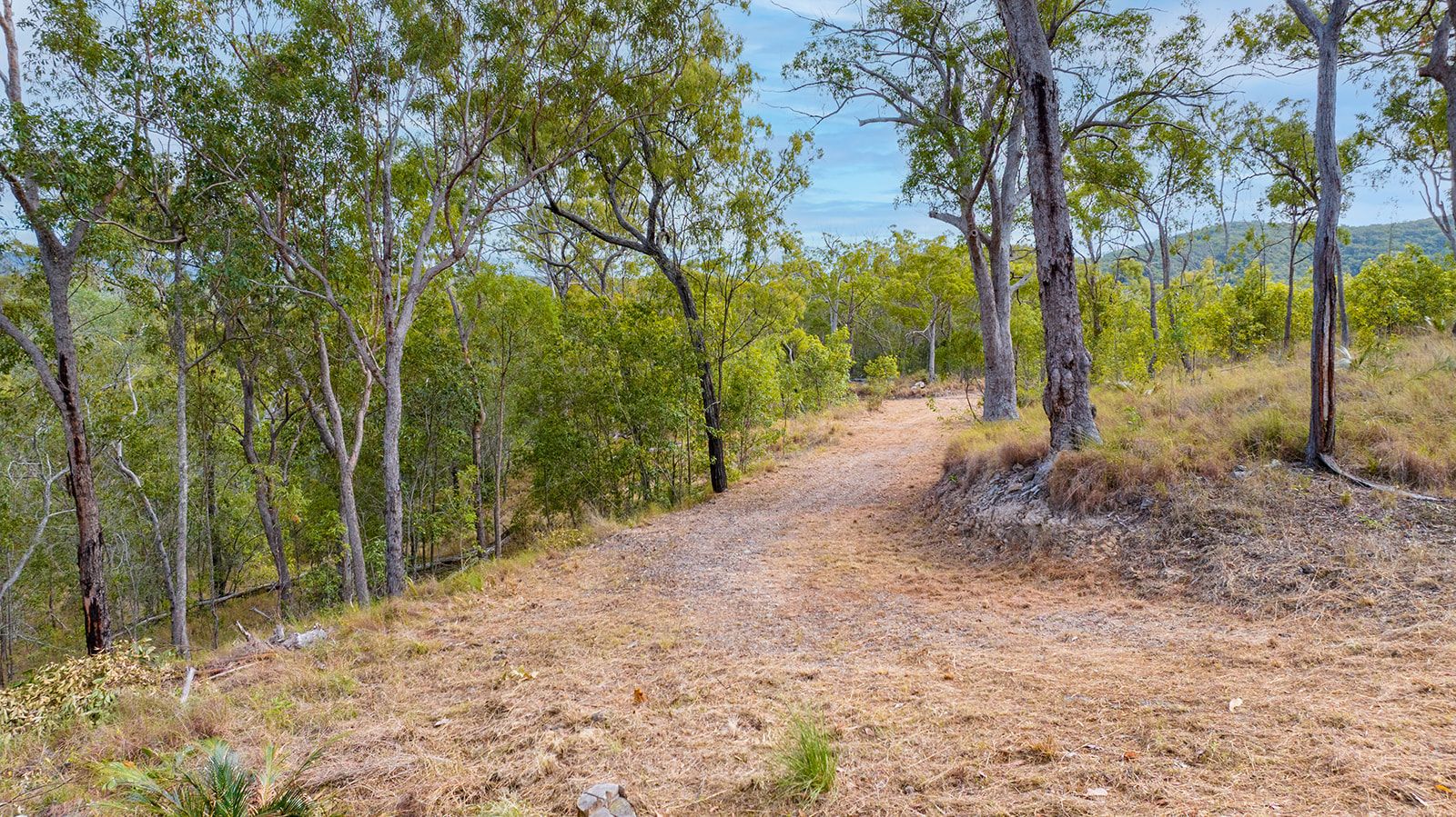 Lot 96 Avocado Crescent — photo 13 of 16