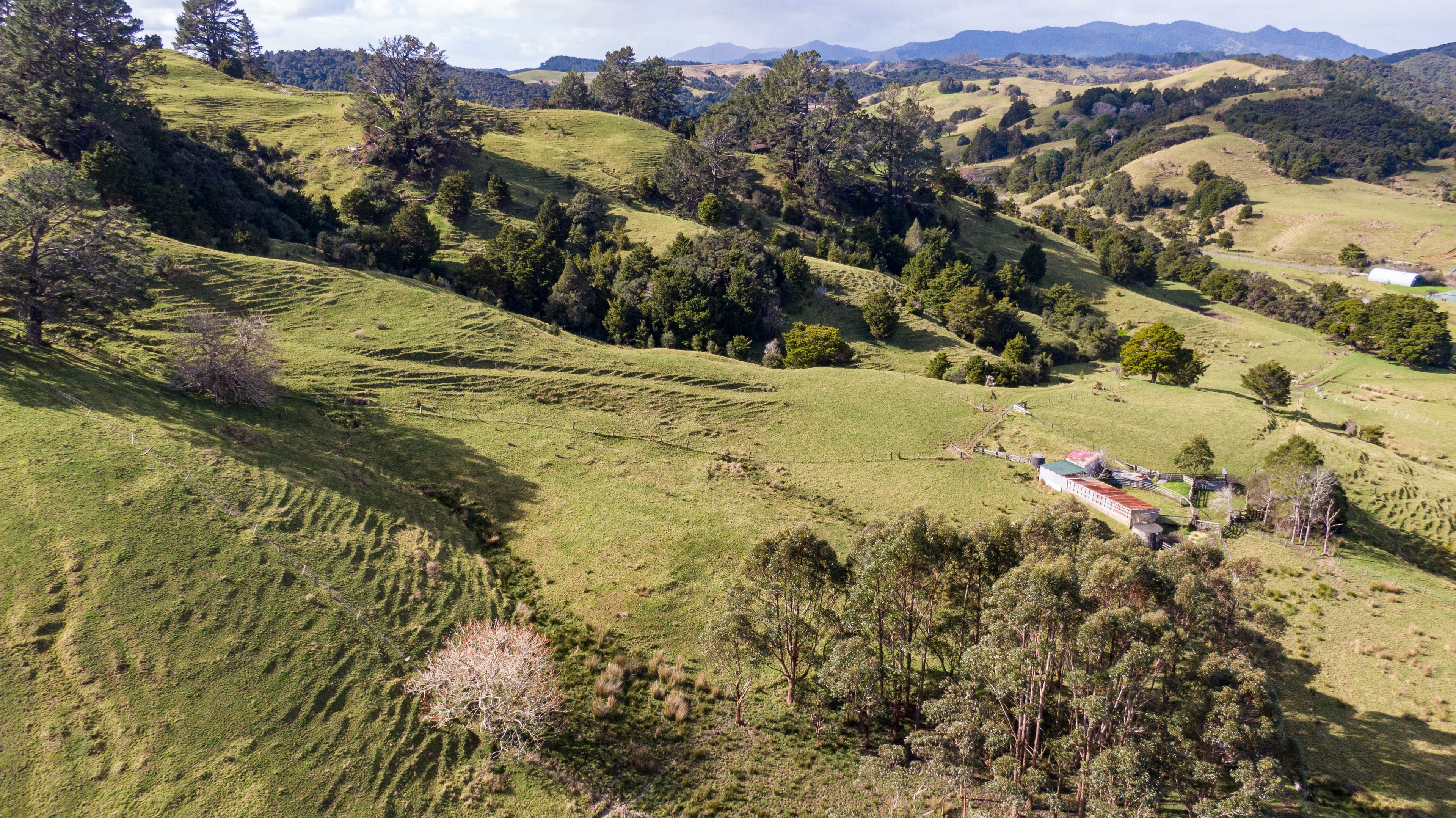 307 Diggers Valley Road, Herekino, Far North District