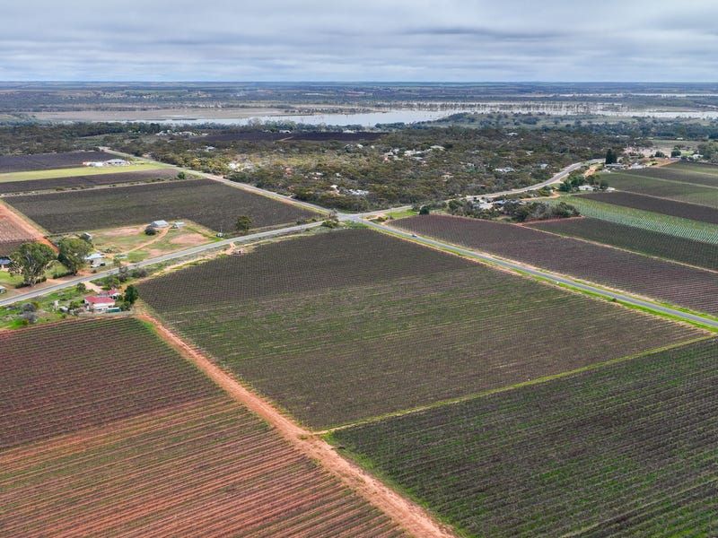 234 Thiele Road, Loveday, SA 5345
