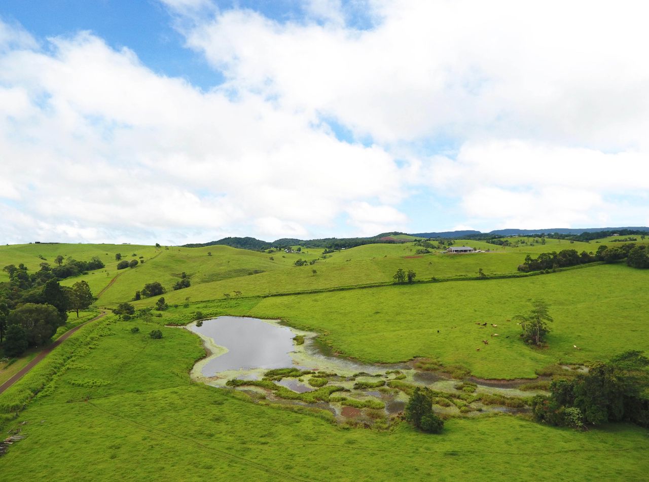 Properties in Malanda Ray White Rural Atherton