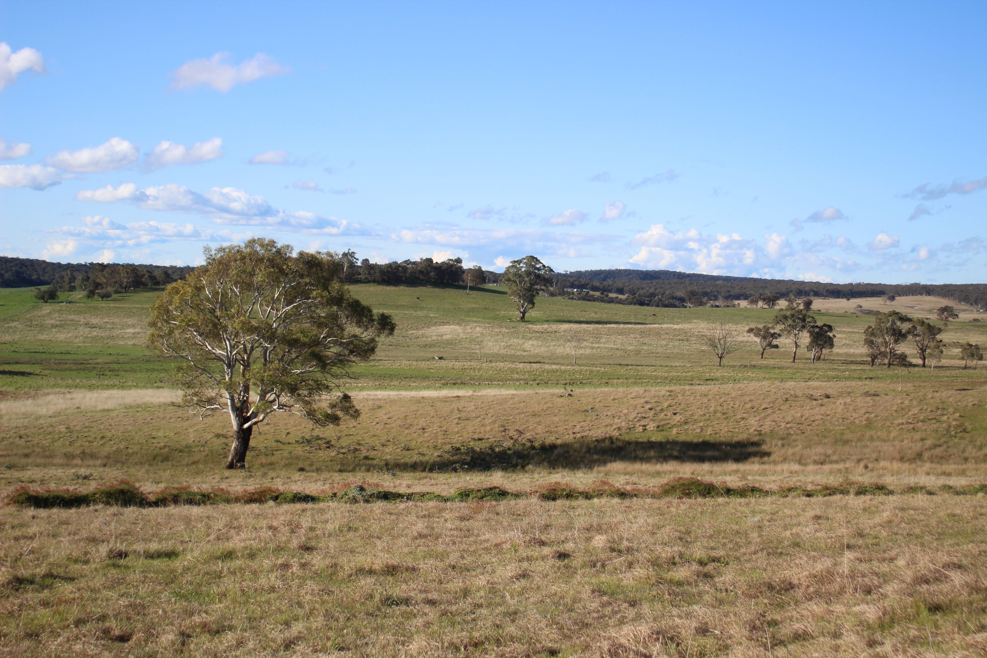 320 Scribbly Gum Lane, Wingello, NSW 2579