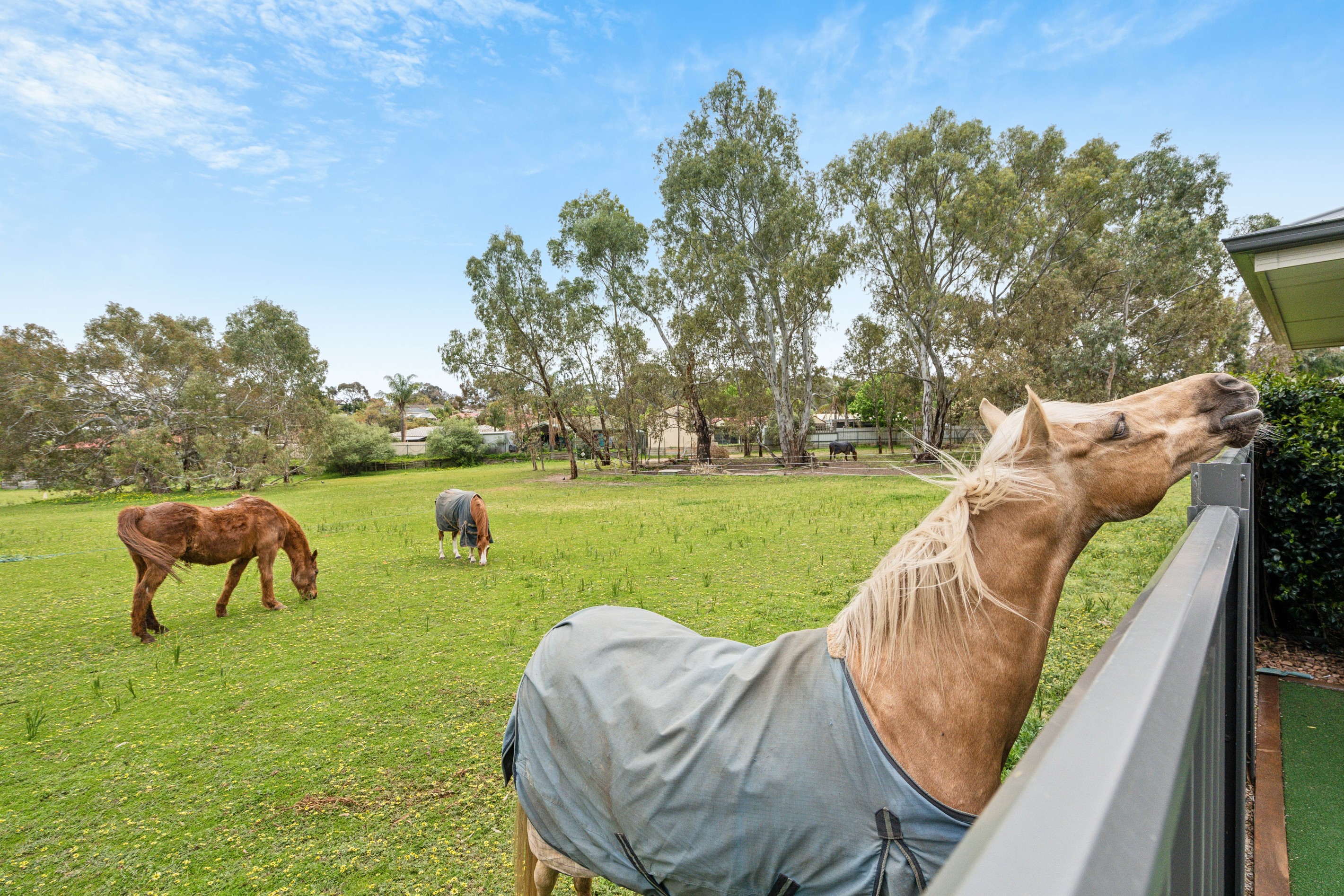 8/17 Mark Street, Happy Valley, SA 5159