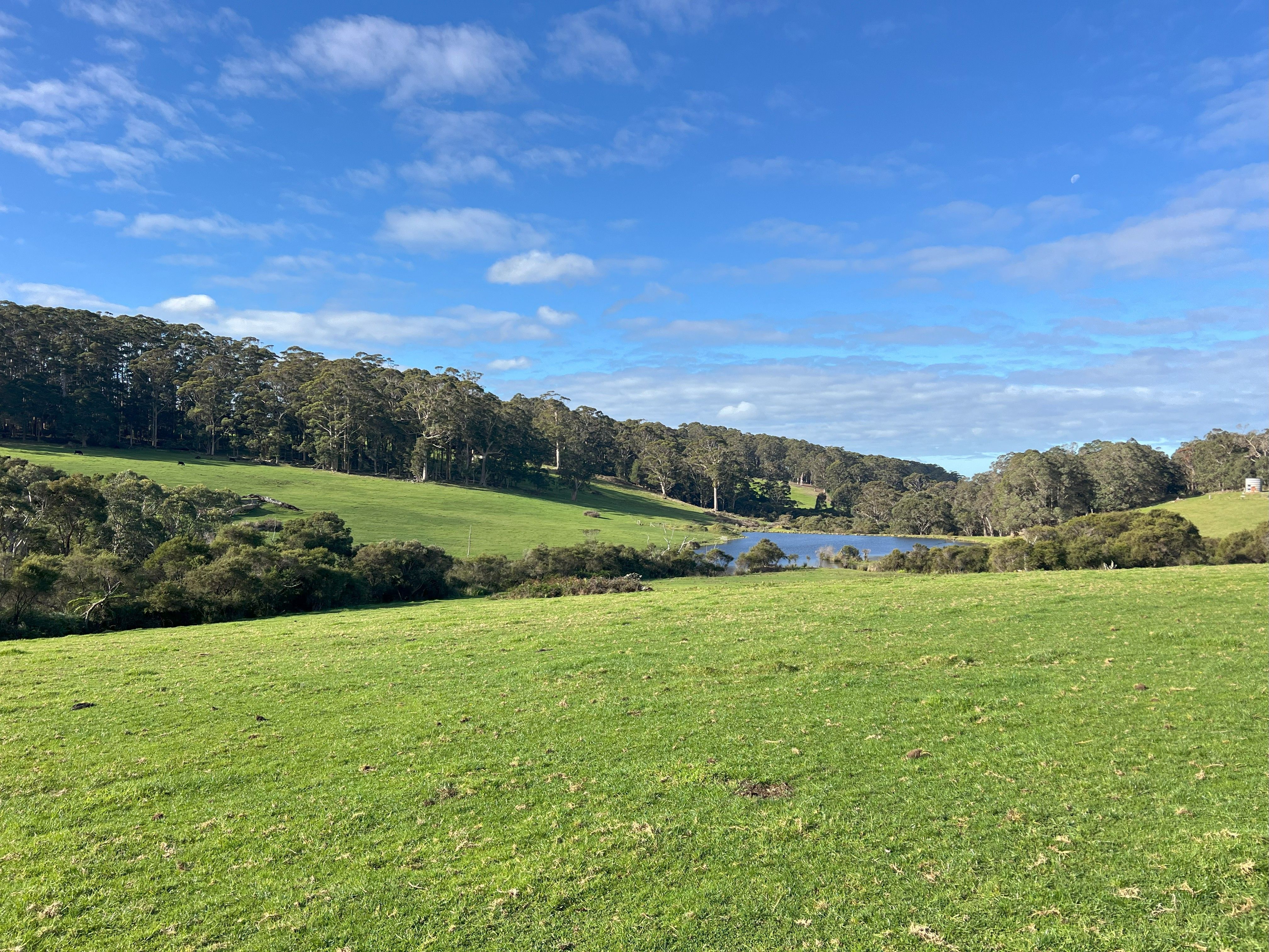 202 Dingo Flat Road, Tingledale, WA 6333