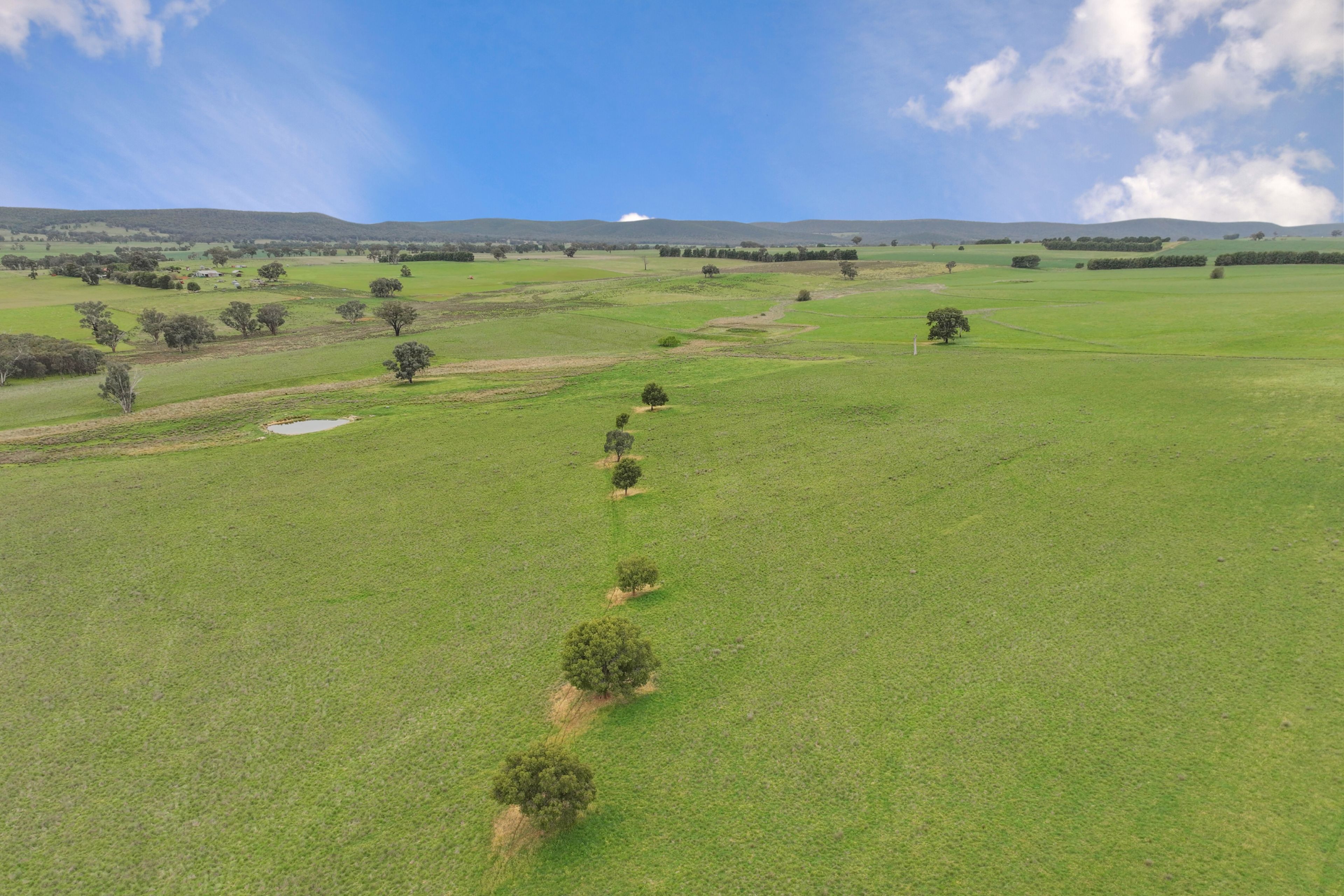 "Moura" Waterhole Creek Road — photo 4 of 30