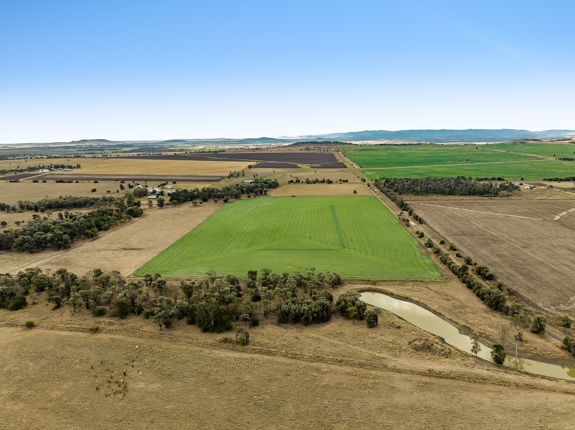 "Mossleigh" 744 Edgefield Road, Irvingdale, QLD 4404