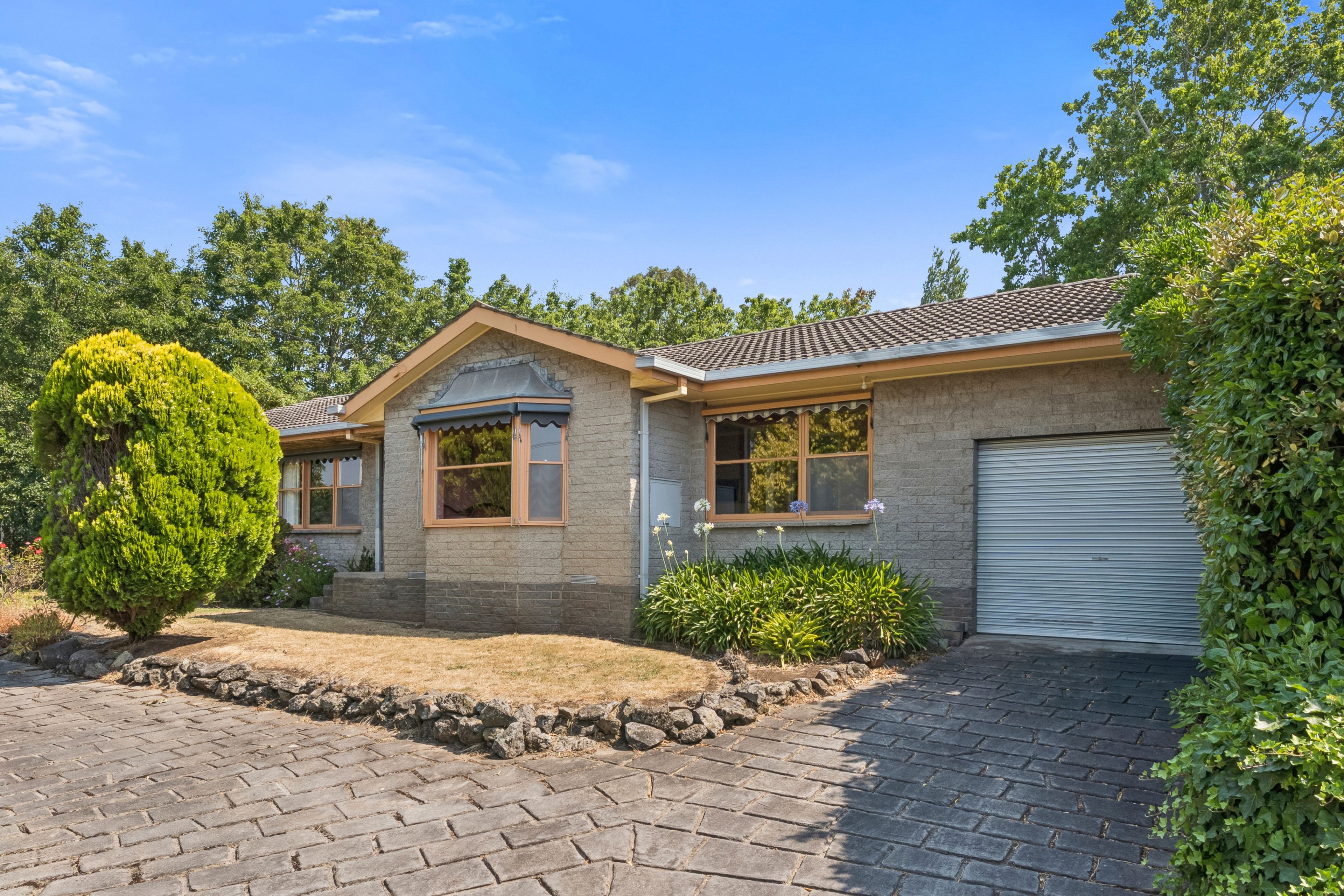 23 Dimora Avenue, Camperdown, VIC 3260