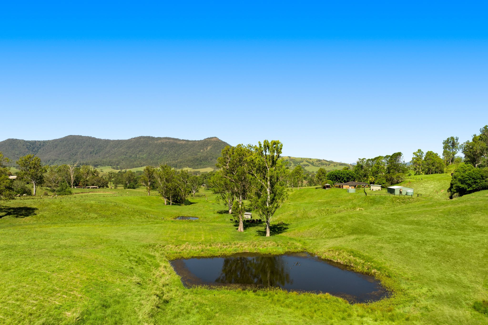 1255 Wiangaree Back Road , Kyogle NSW 2474