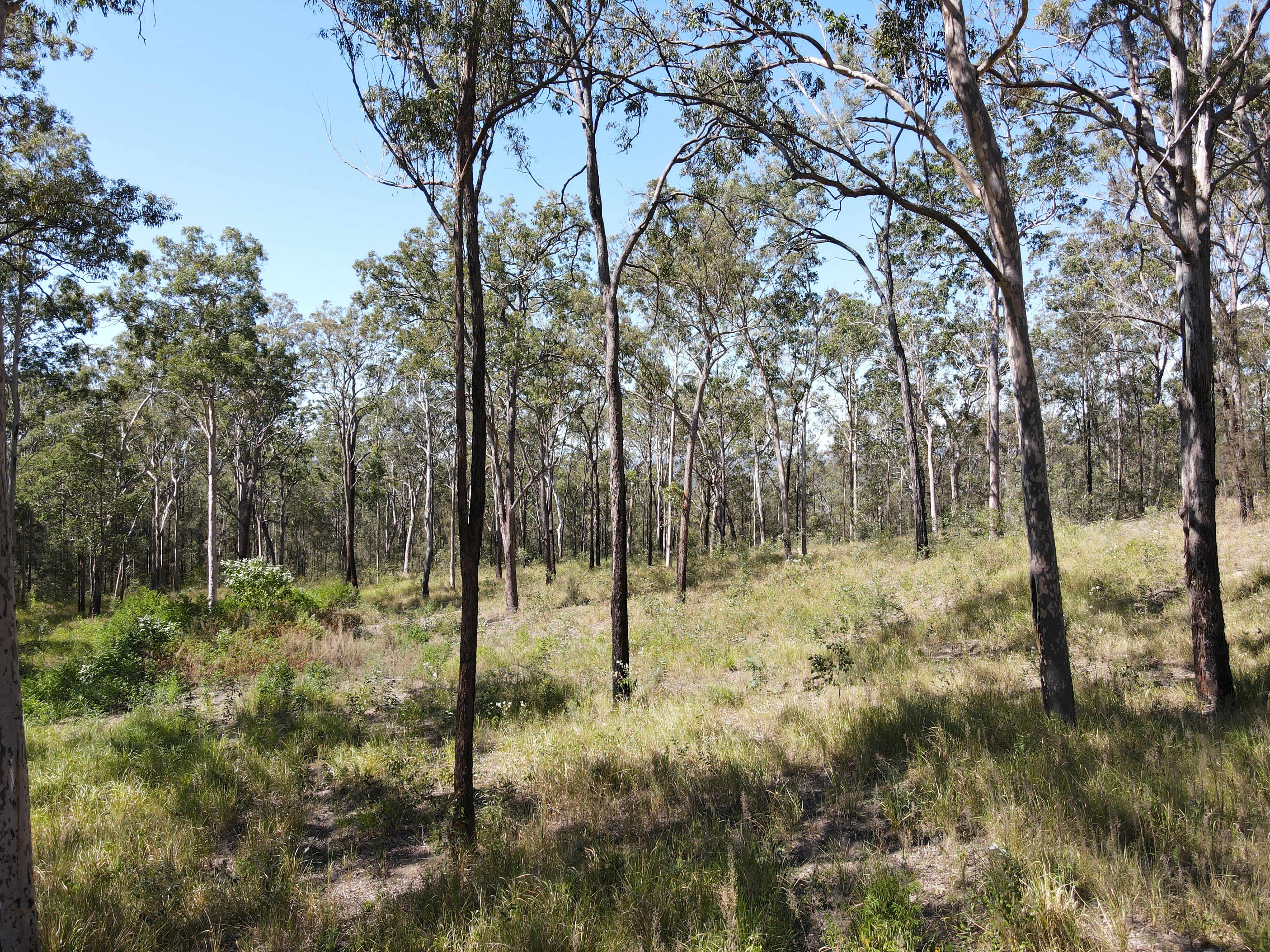 428 Bruxner Road — photo 18 of 18
