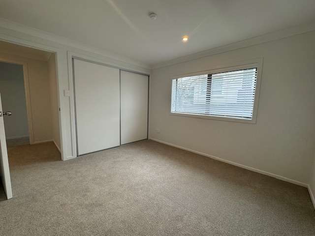 47B Totara Road photo 3