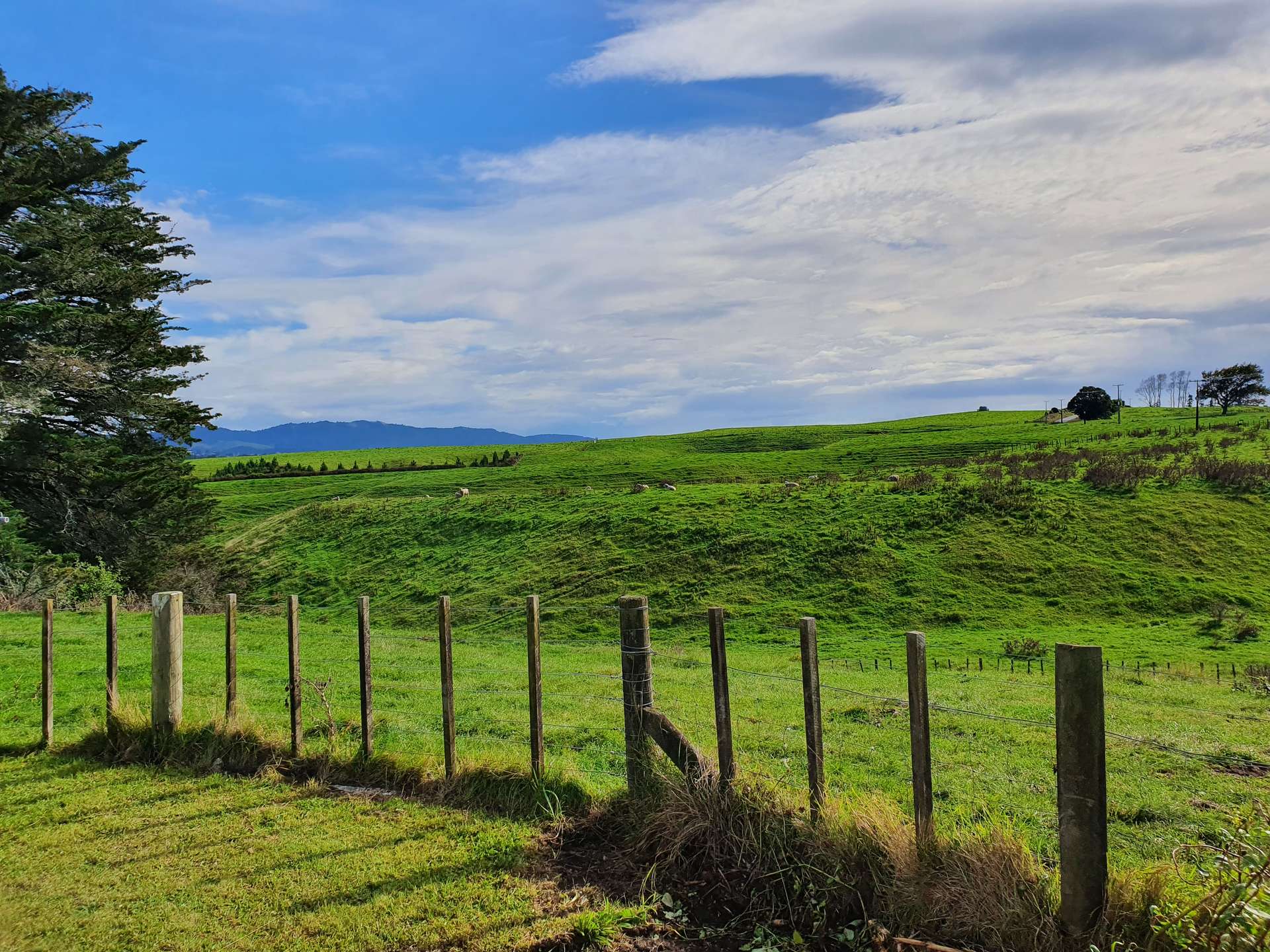 1204 Rangiuru Road photo 14