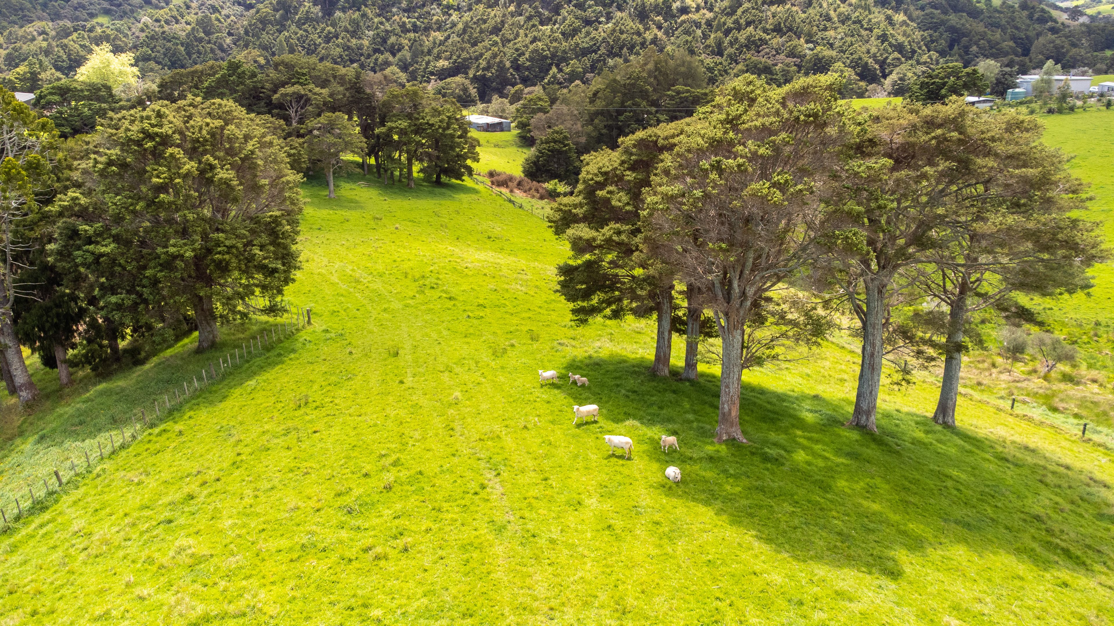 608B West Coast Road, Warkworth, Rodney